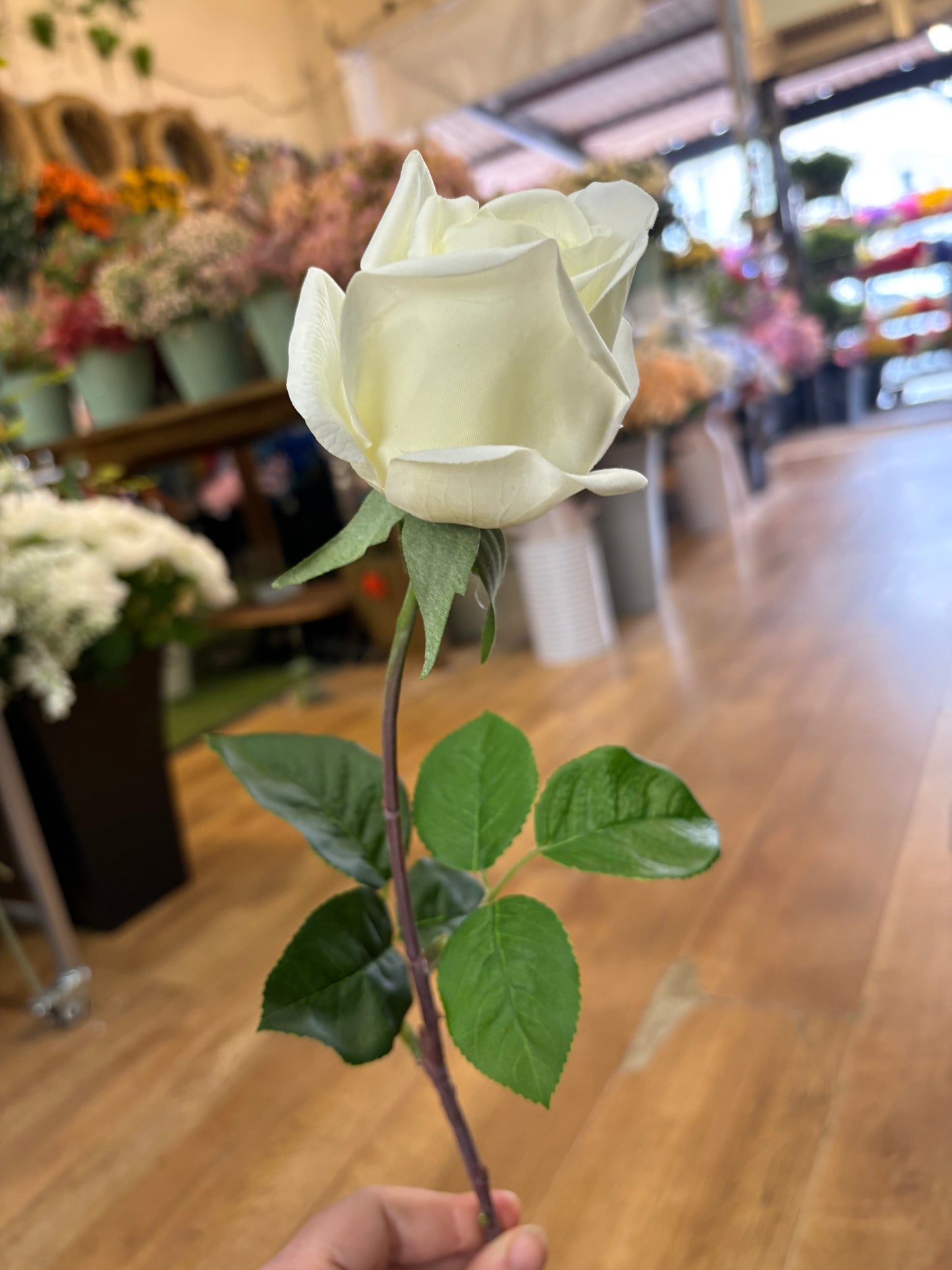 Cream real touch Deluxe single rose