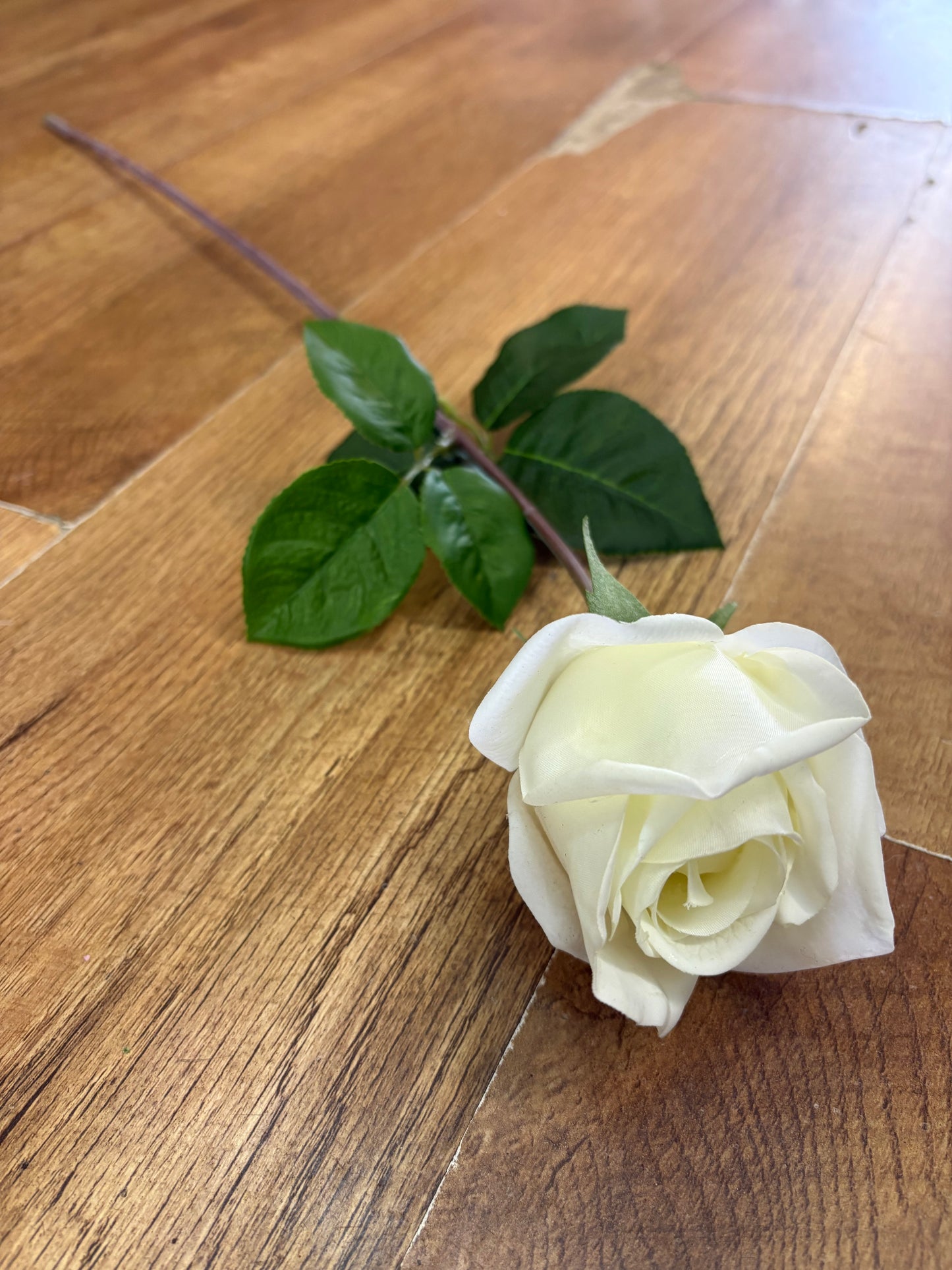 Cream real touch Deluxe single rose