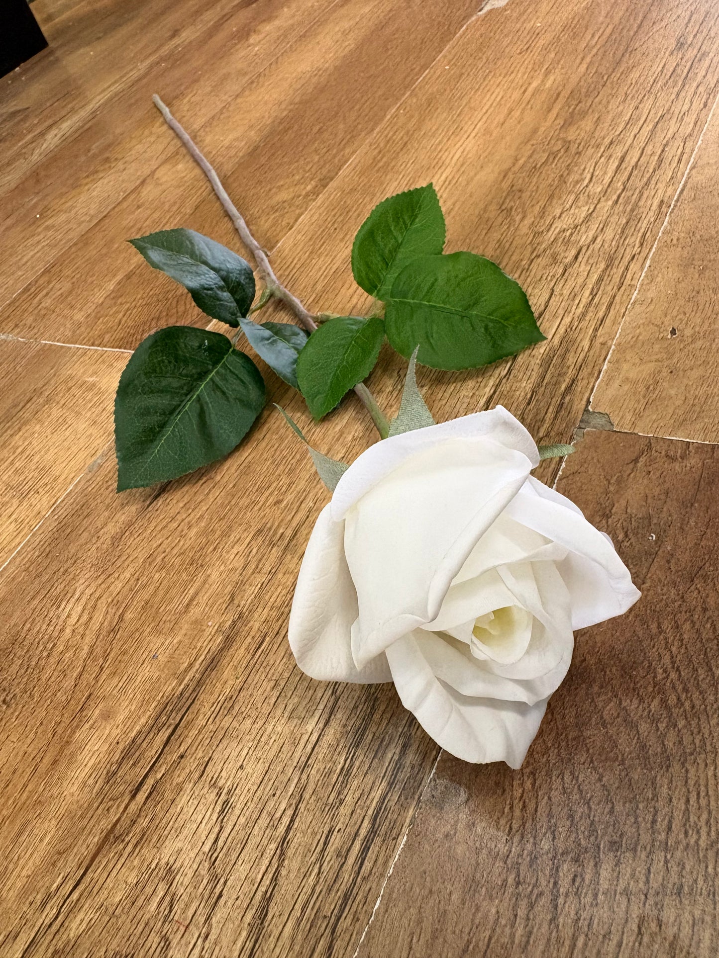 Ivory real touch deluxe single rose