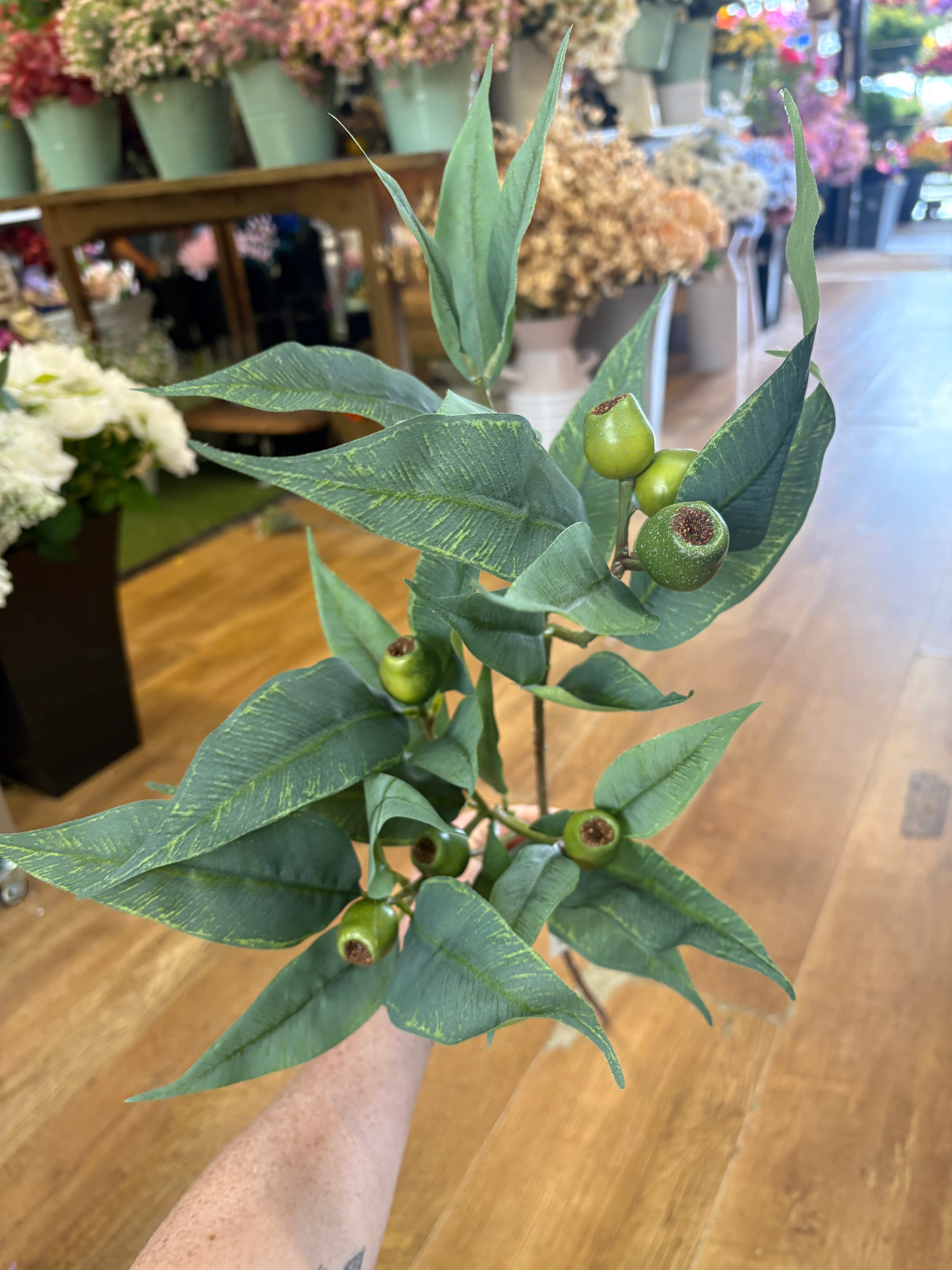 84cm tall premium bushy green gum nut spray
