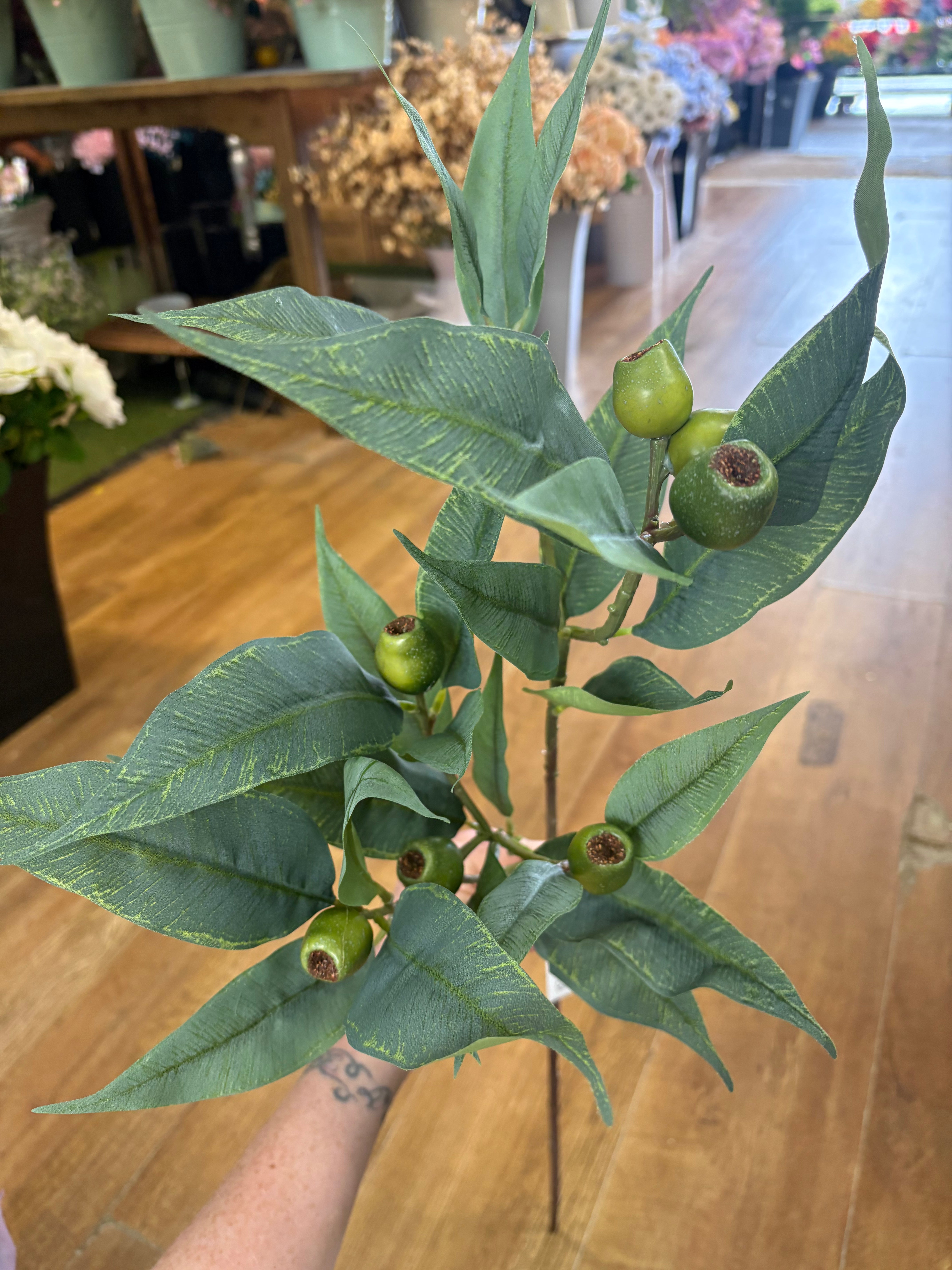84cm tall premium bushy green gum nut spray
