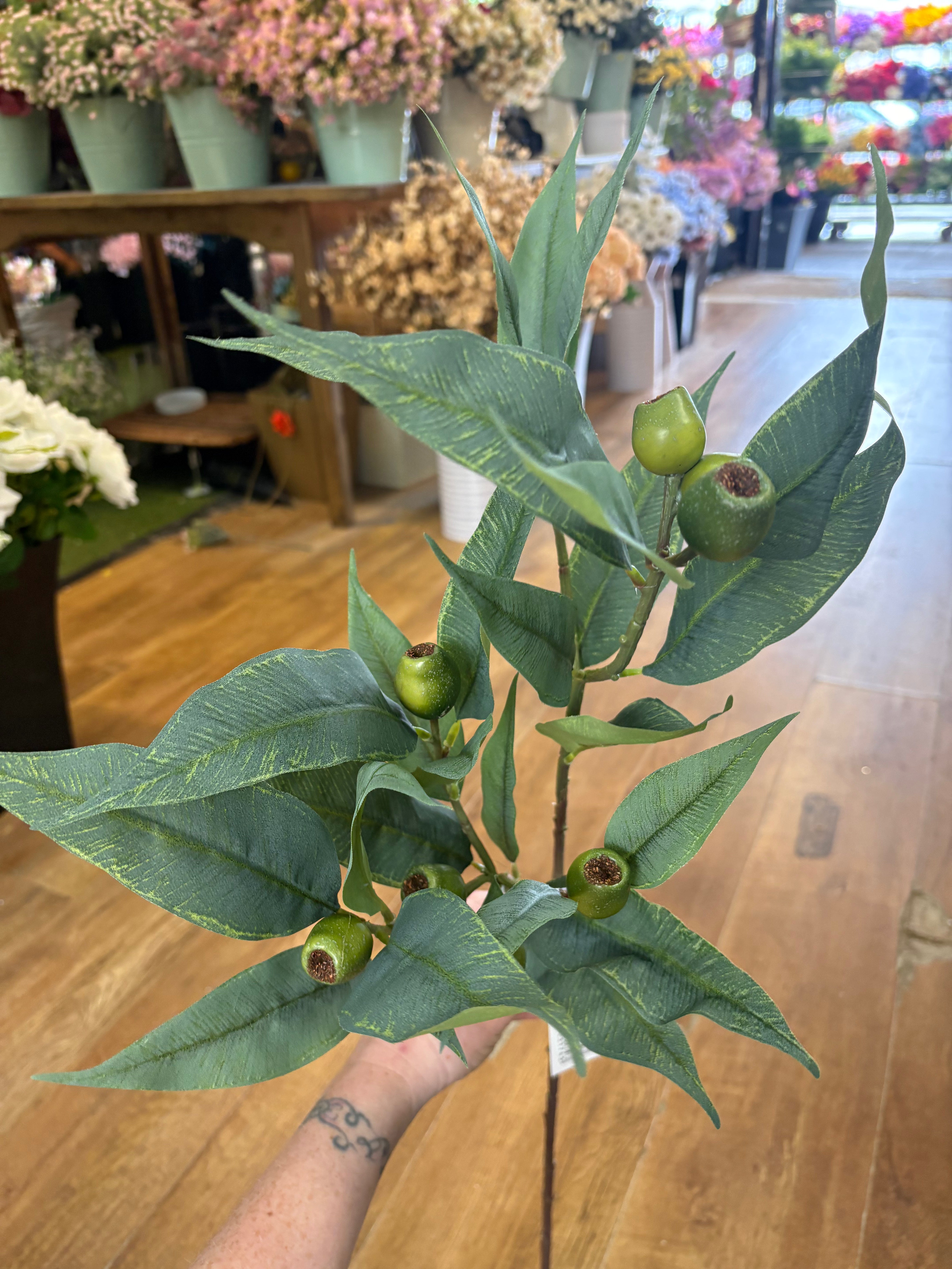 84cm tall premium bushy green gum nut spray