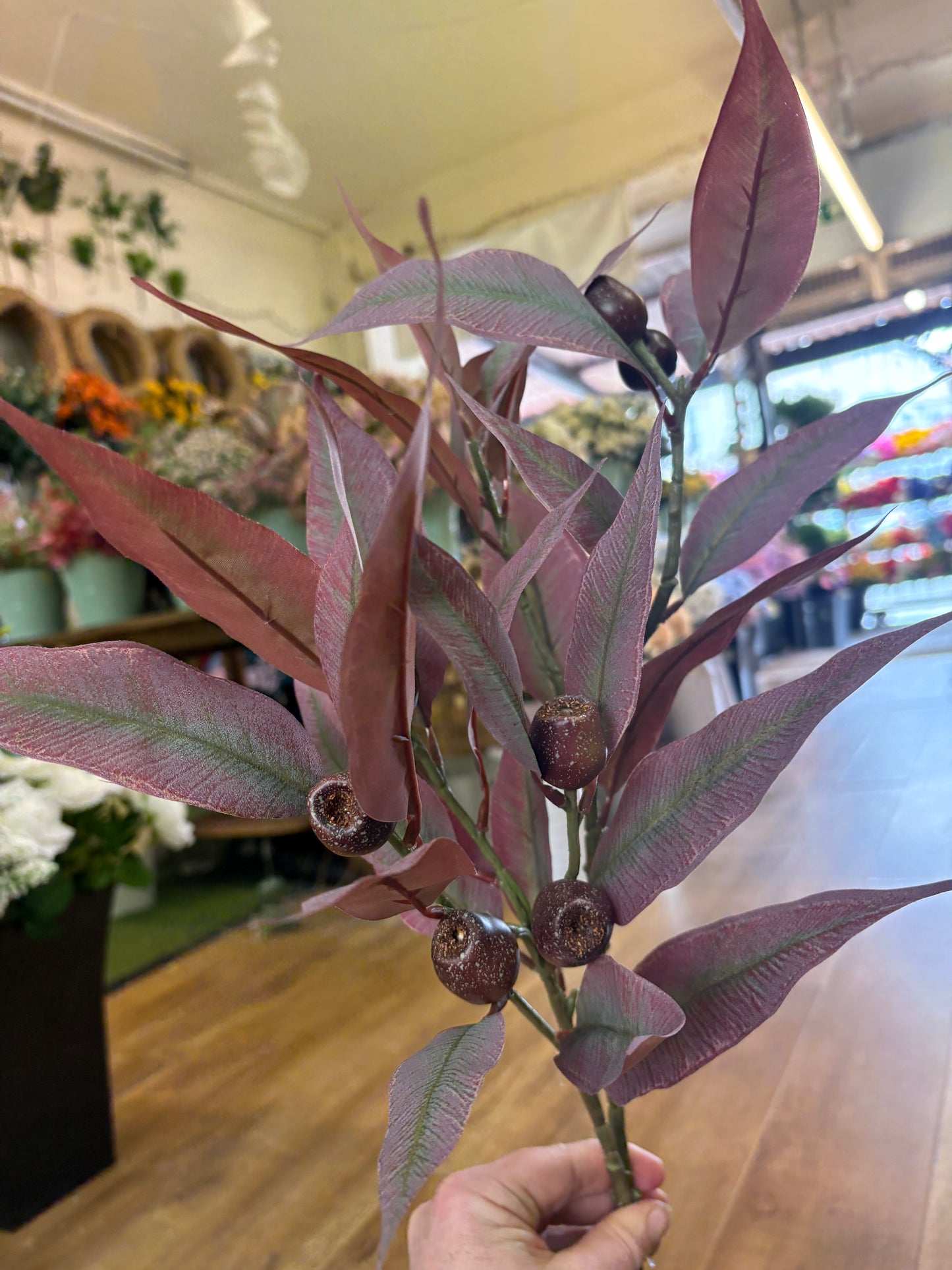 84cm tall premium bushy burgundy gum nut spray