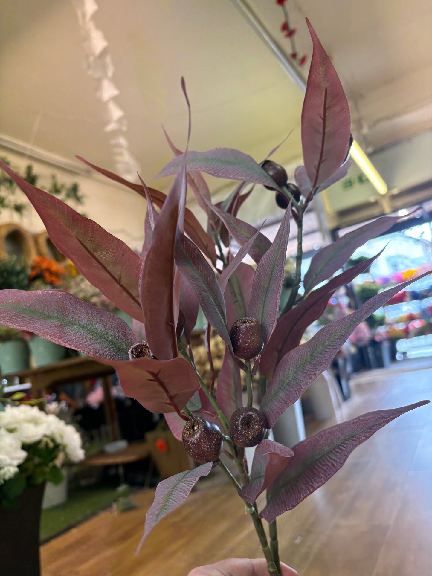 84cm tall premium bushy burgundy gum nut spray