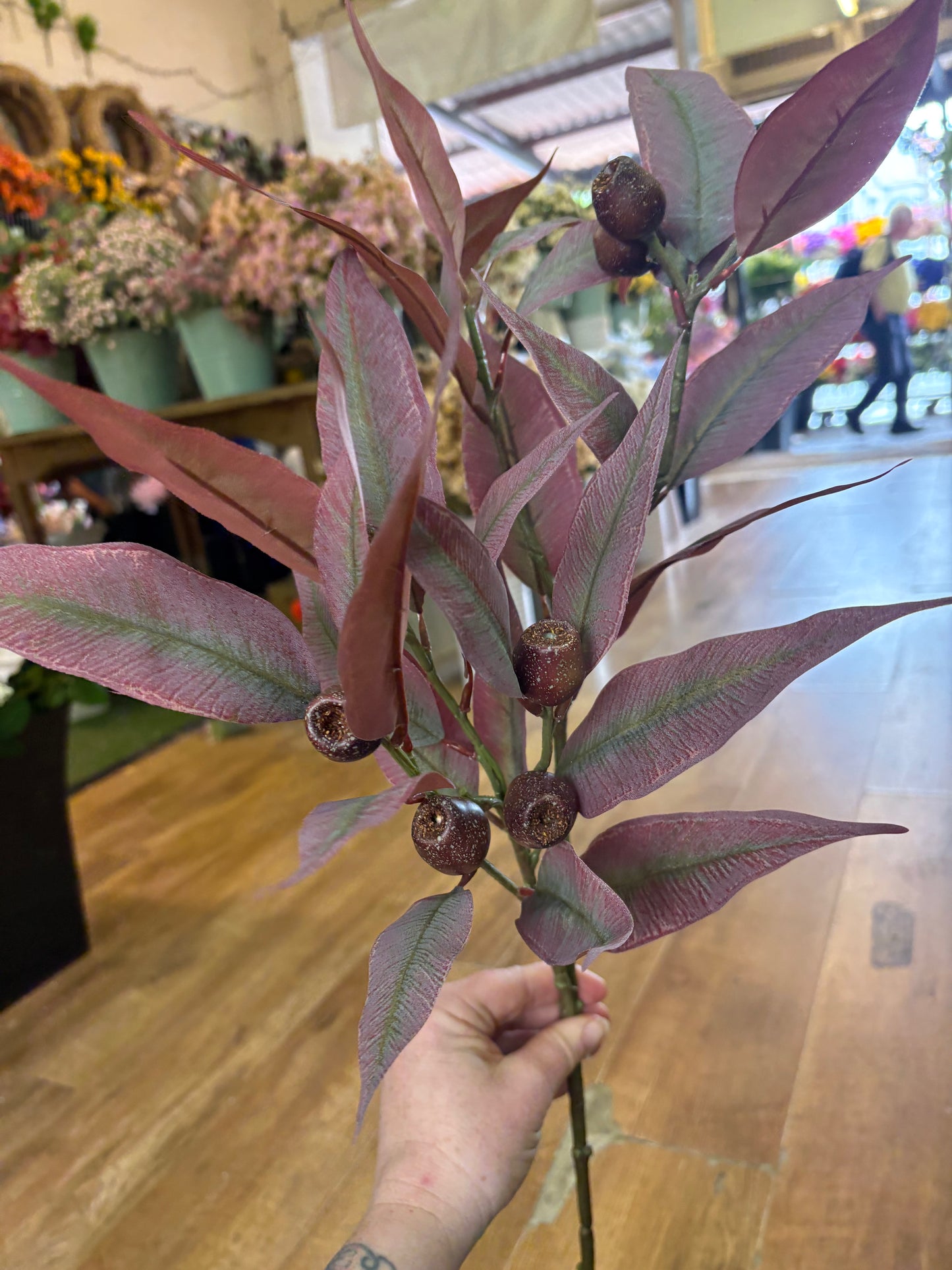 84cm tall premium bushy burgundy gum nut spray