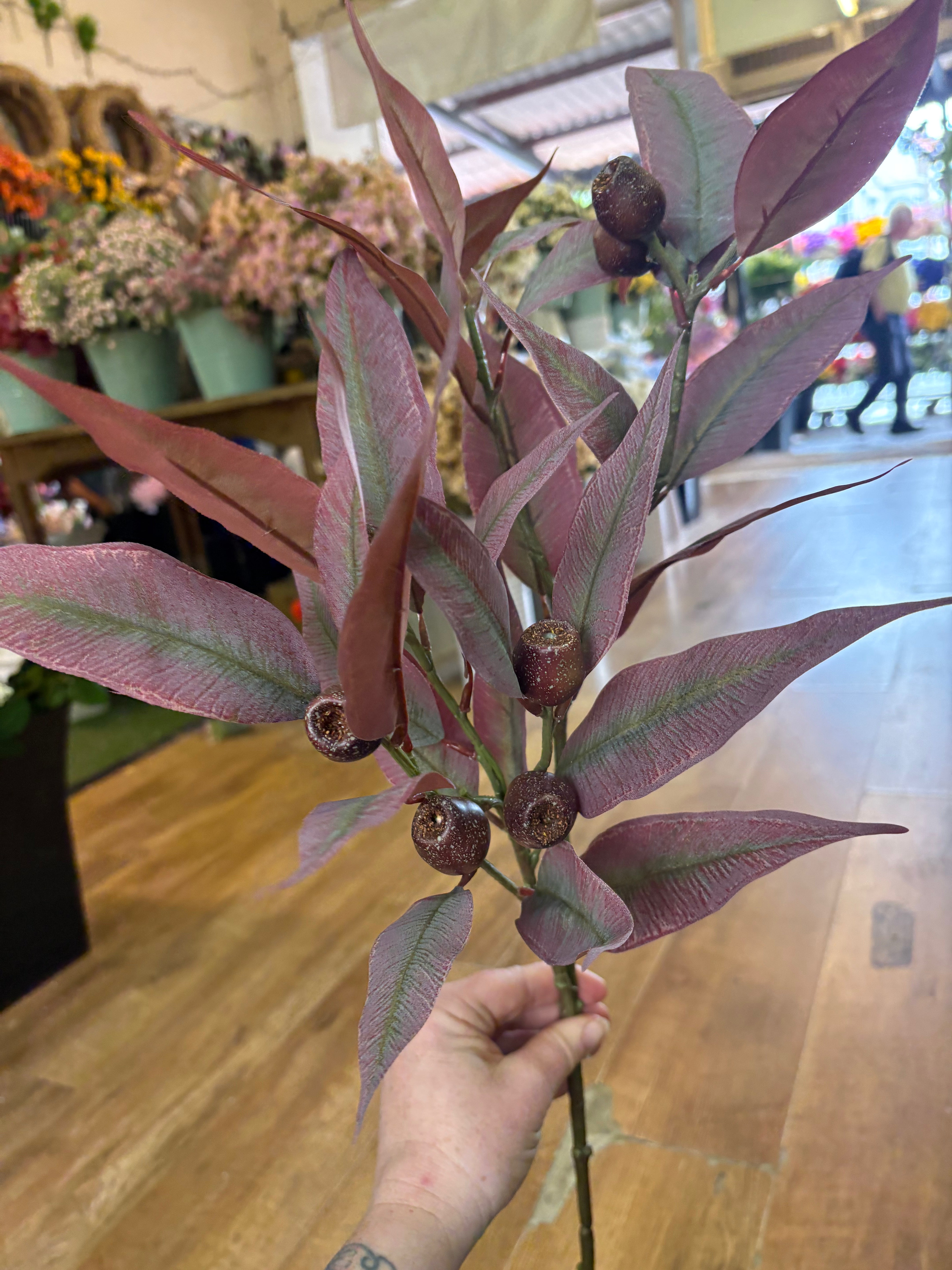 84cm tall premium bushy burgundy gum nut spray