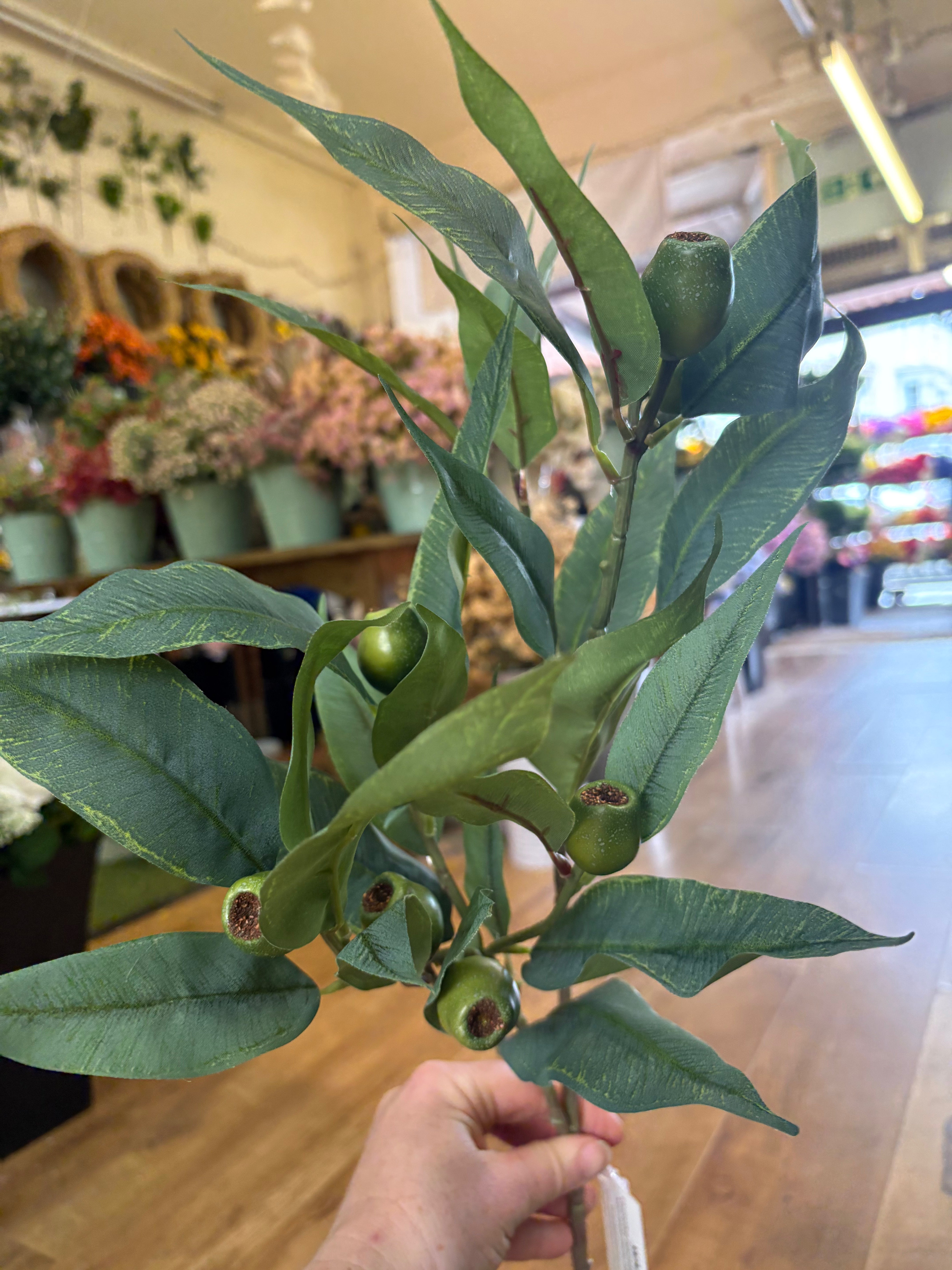 84cm tall premium bushy green gum nut spray