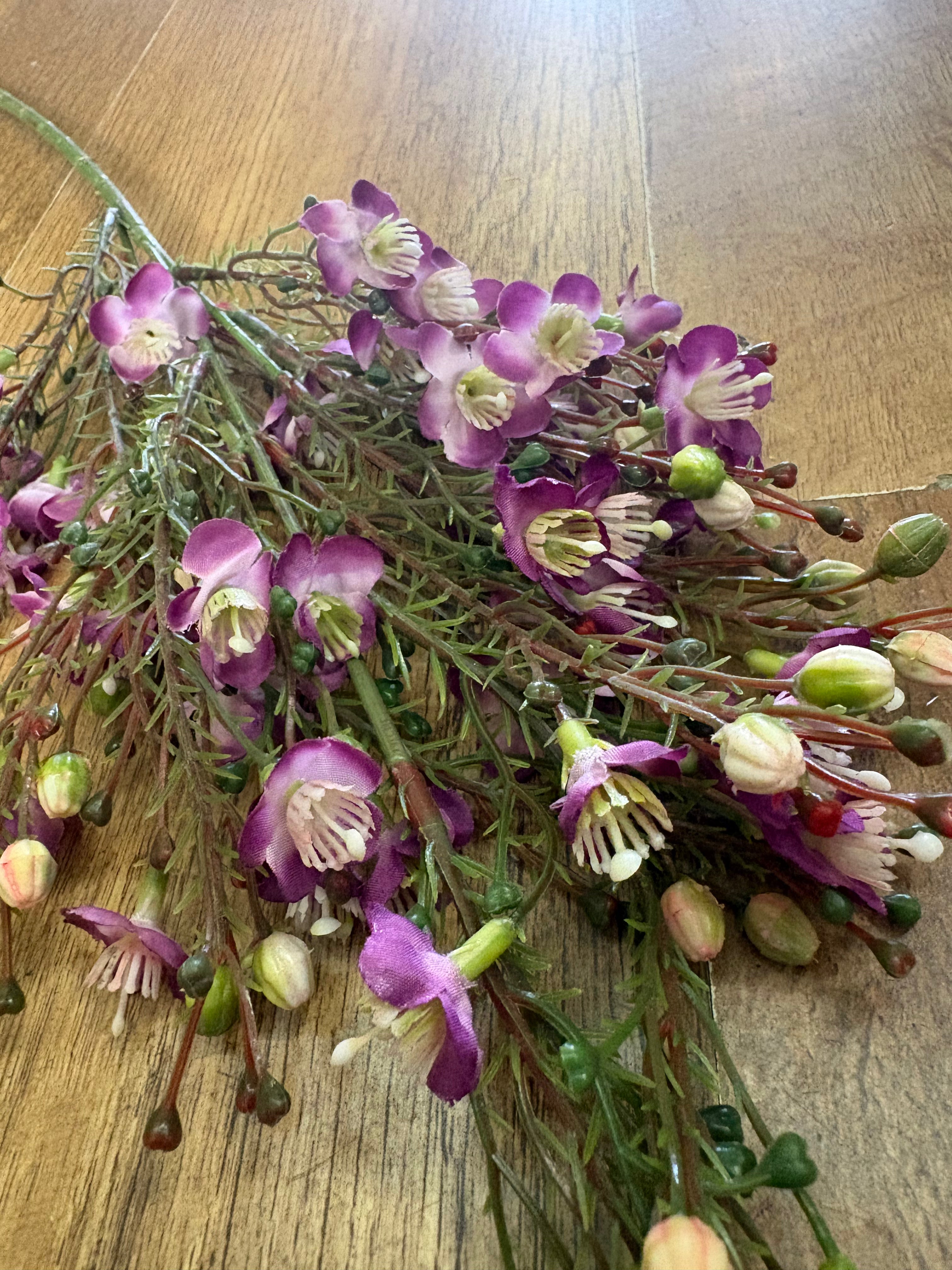Purple wax flower chamelaucium spray