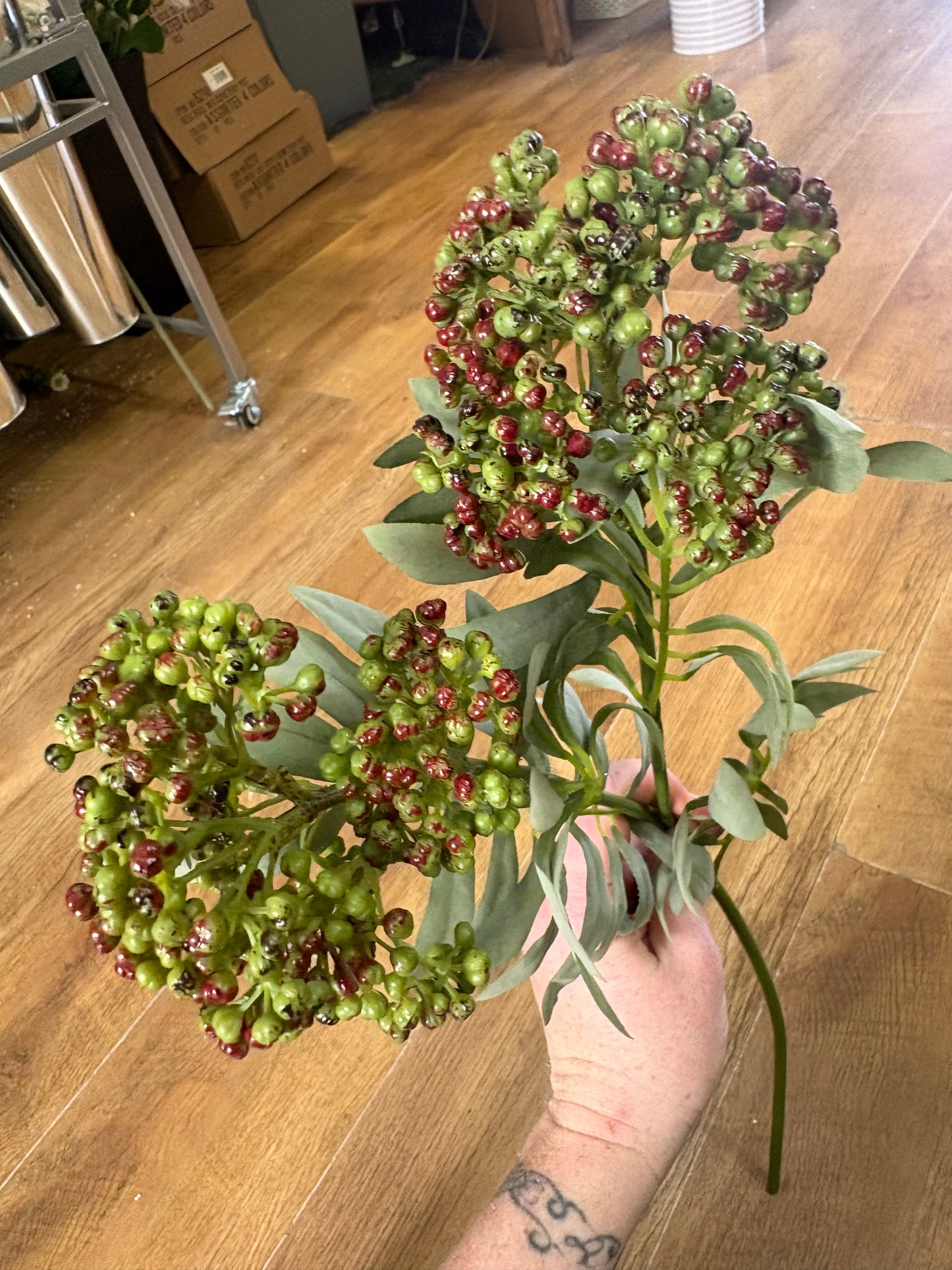 62cm tall green and brown elderberry spray