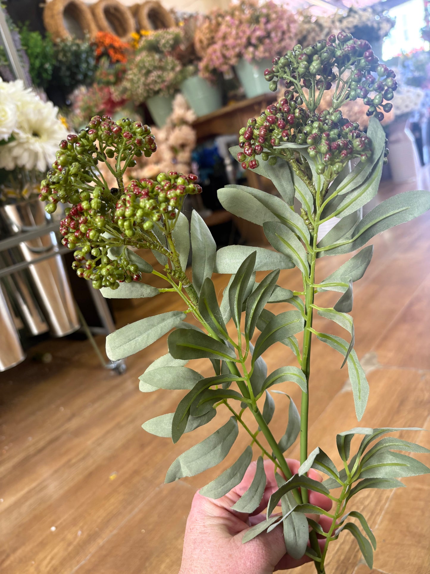 62cm tall green and brown elderberry spray