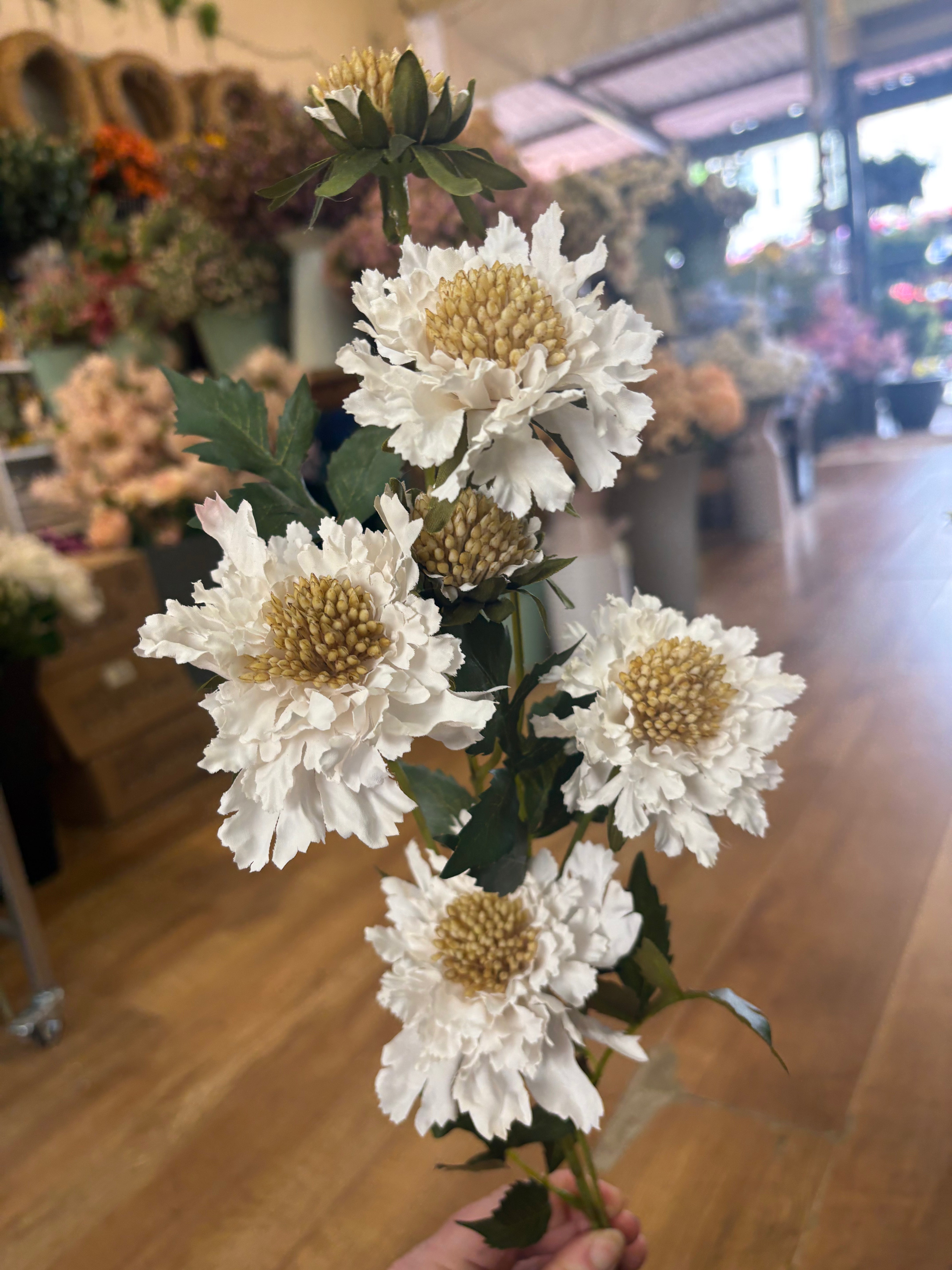 75cm tall cream ruffled scabiosa spray