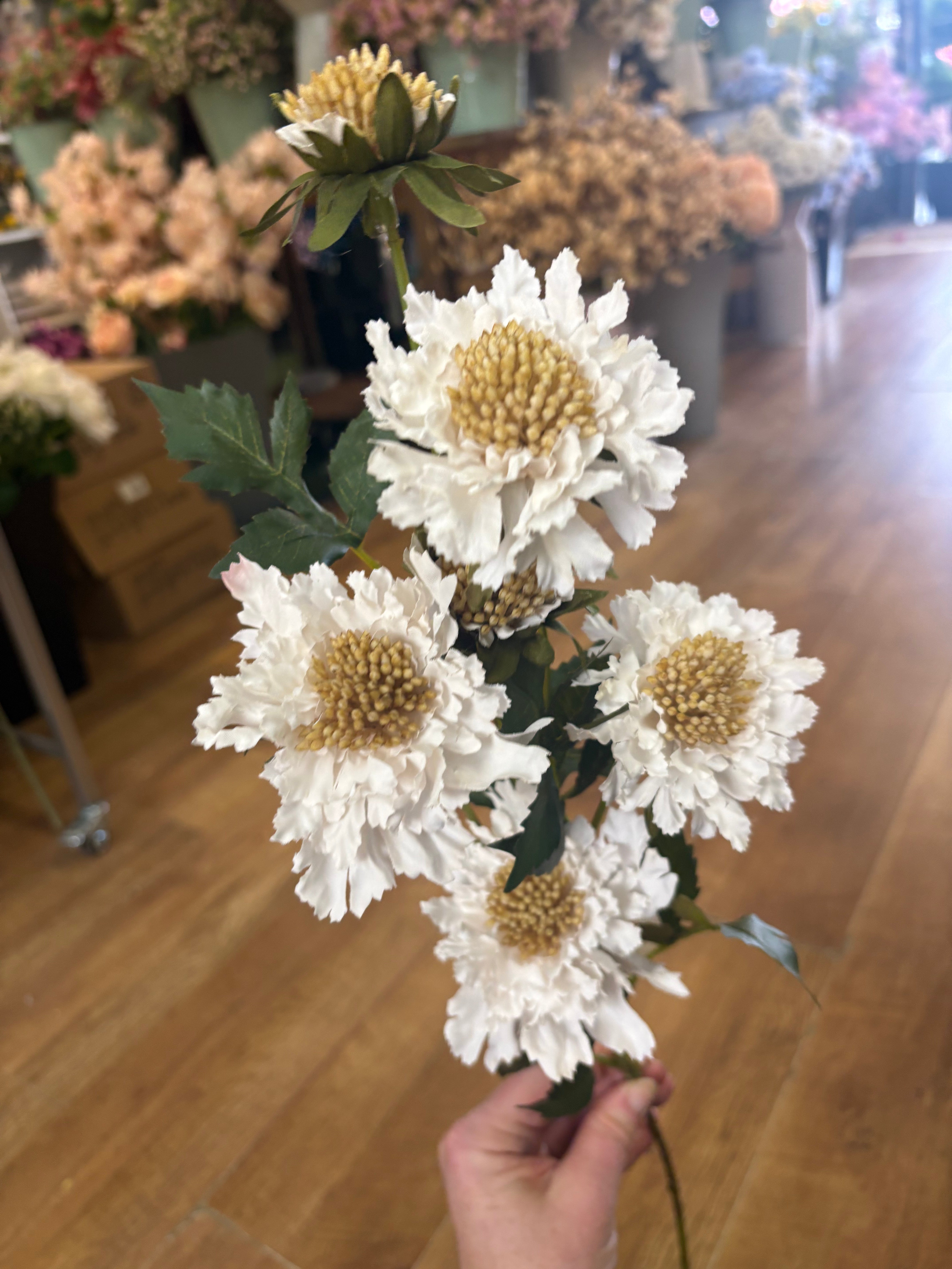 75cm tall cream ruffled scabiosa spray