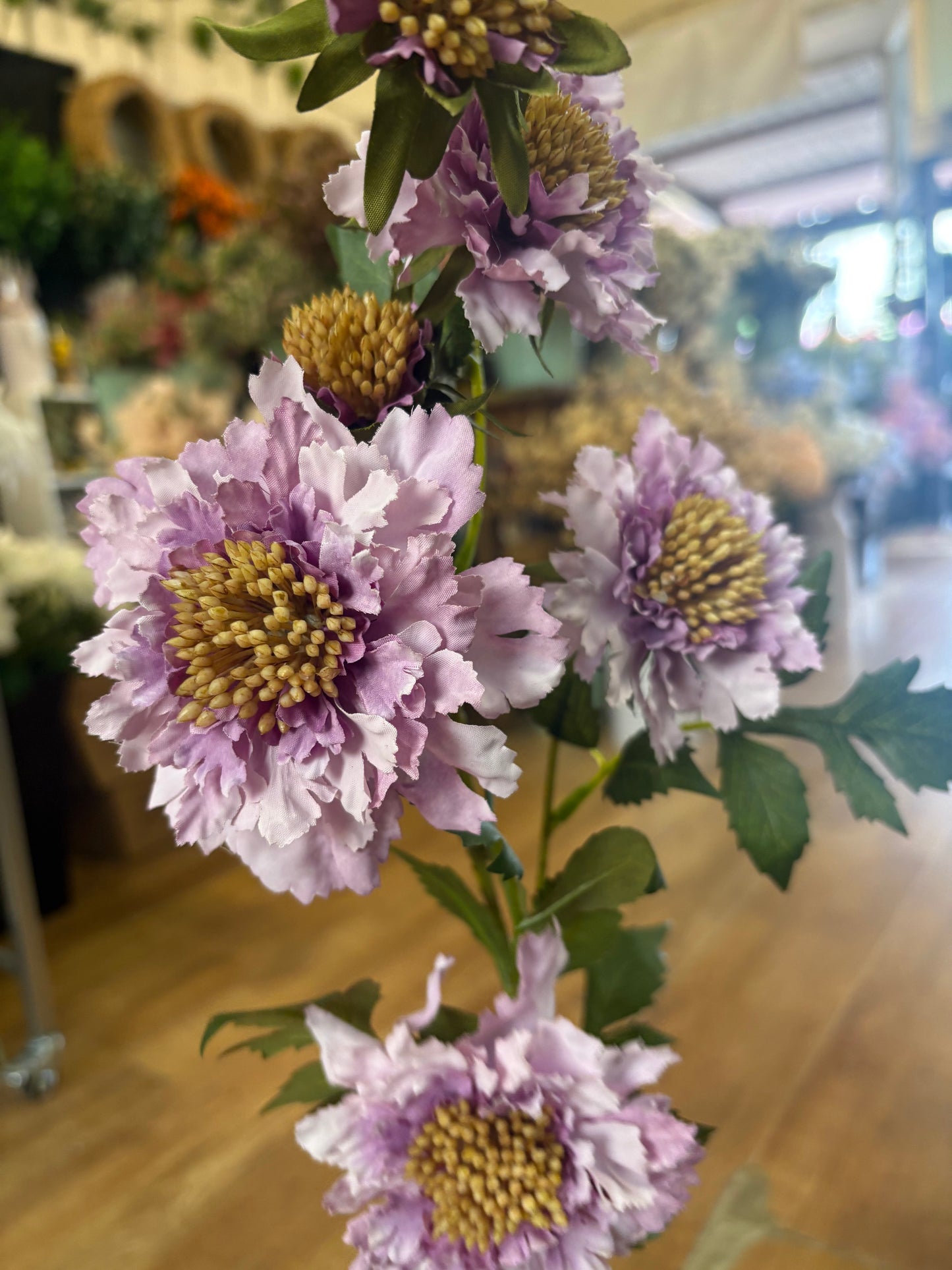 75cm tall Lilac ruffled scabiosa spray