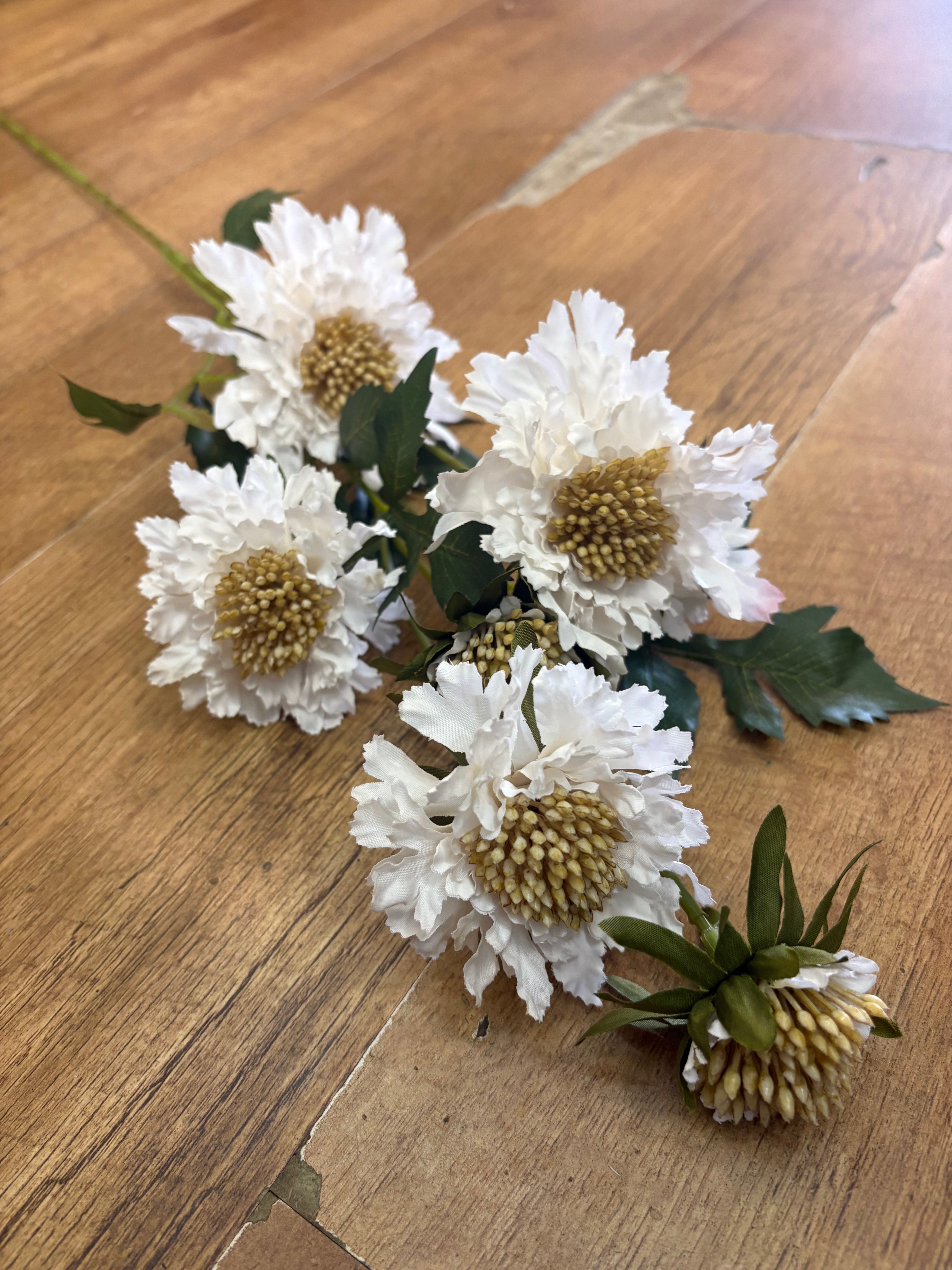 75cm tall cream ruffled scabiosa spray