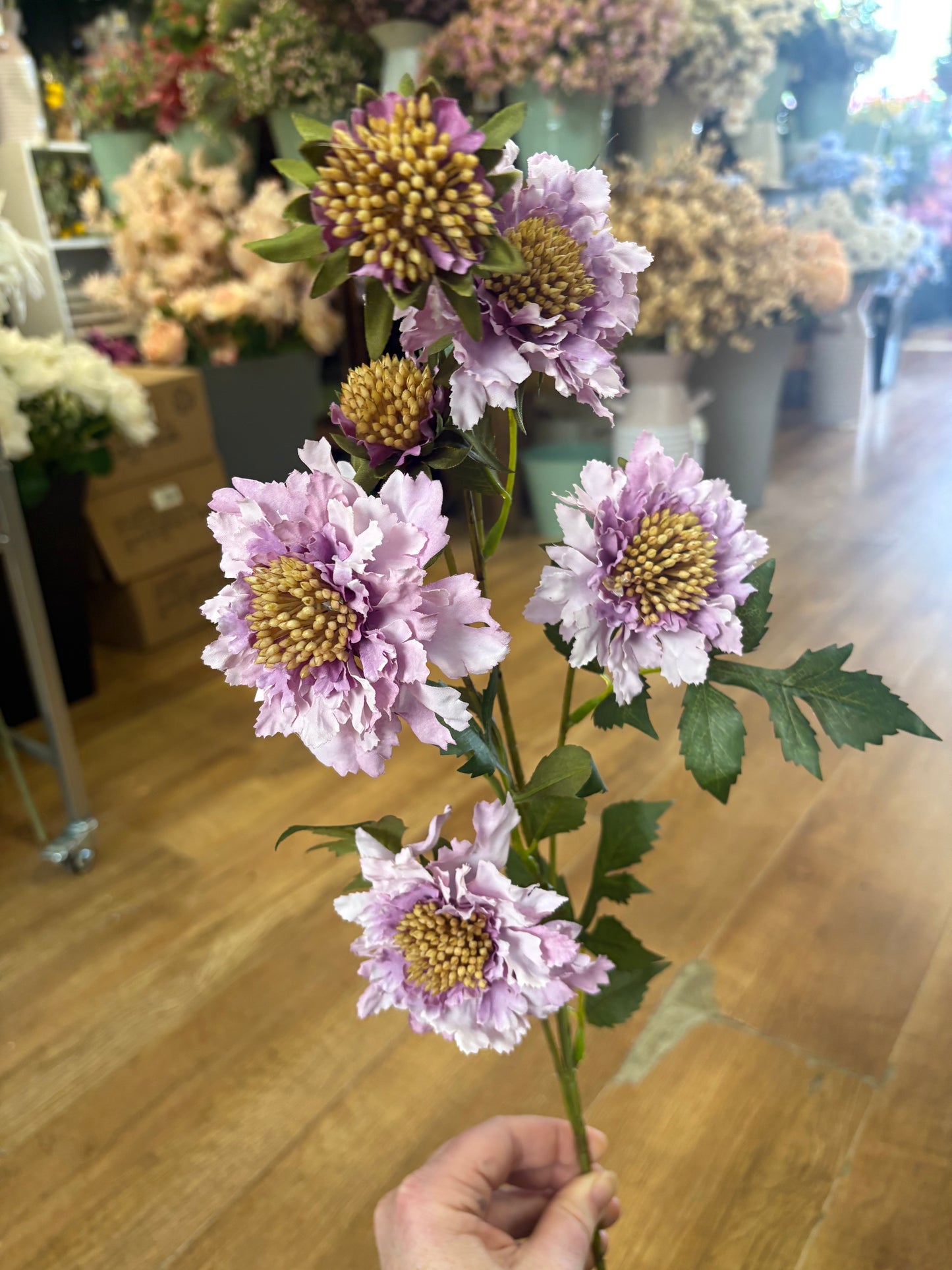 75cm tall Lilac ruffled scabiosa spray