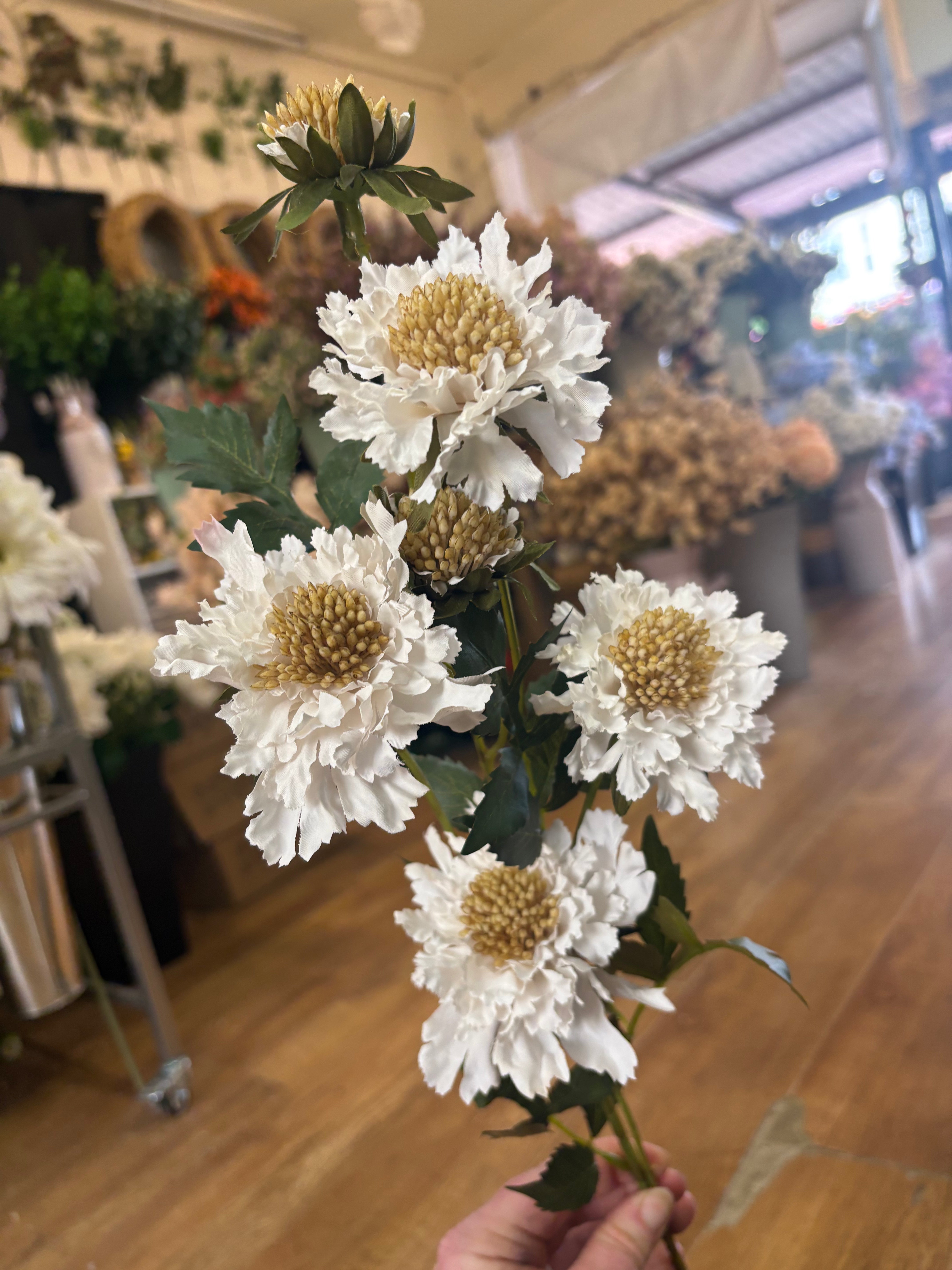 75cm tall cream ruffled scabiosa spray