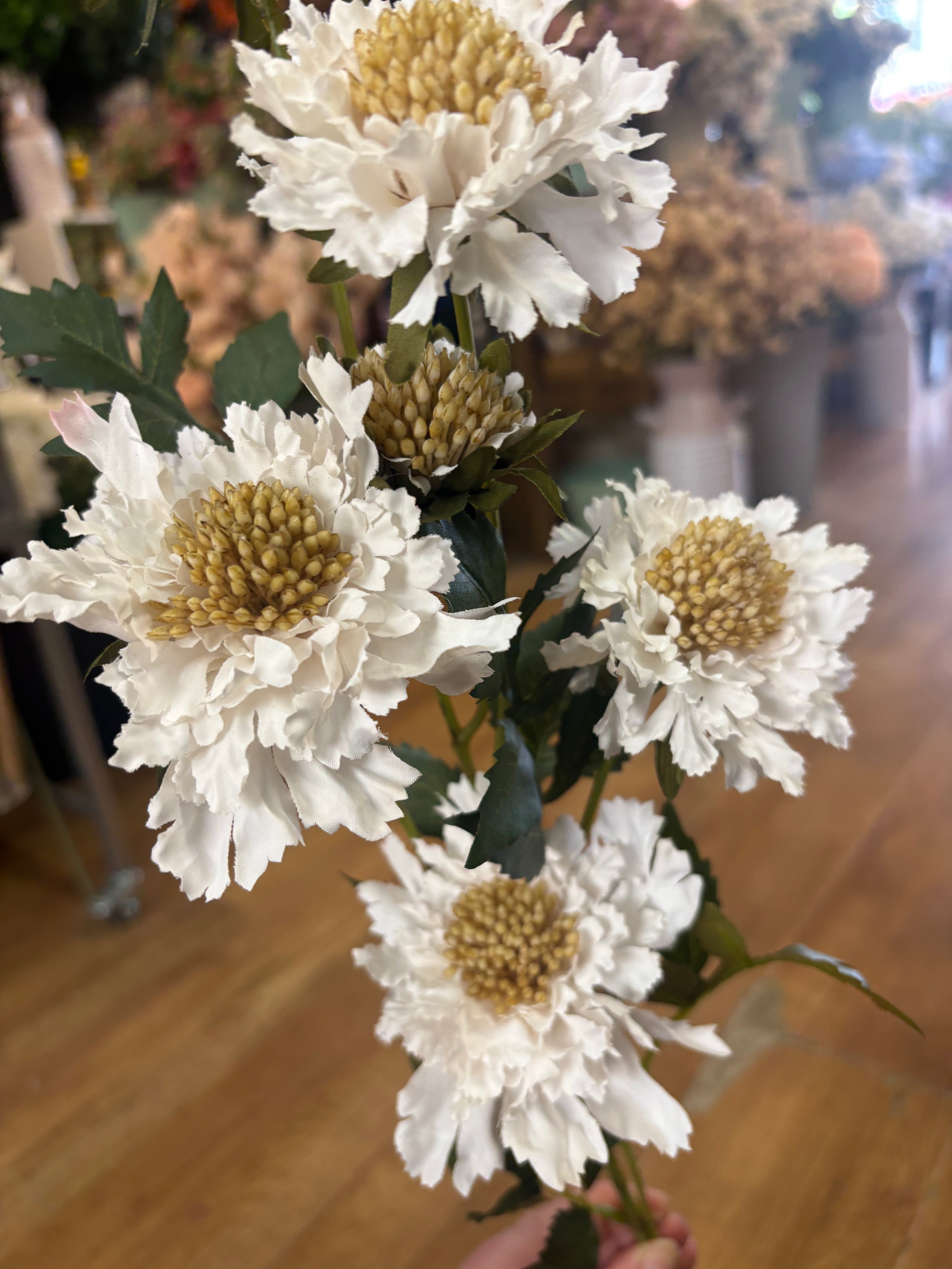 75cm tall cream ruffled scabiosa spray