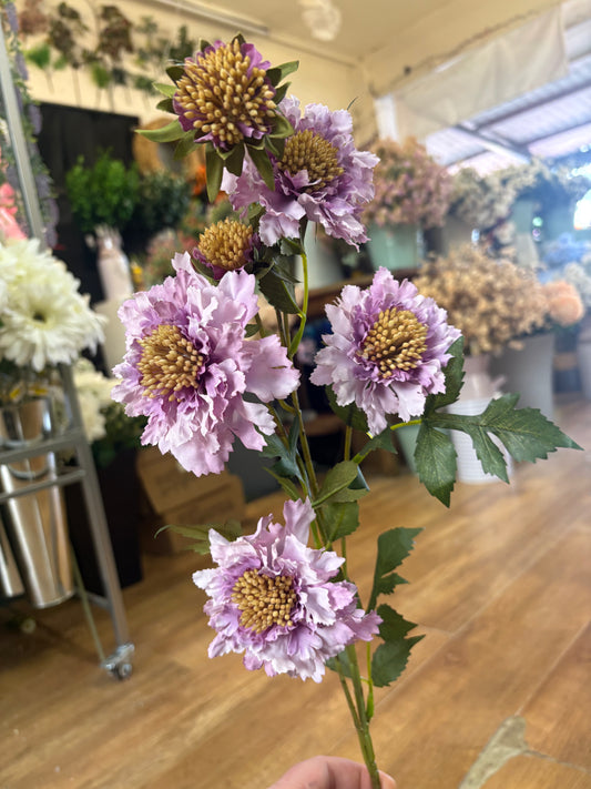 75cm tall Lilac ruffled scabiosa spray