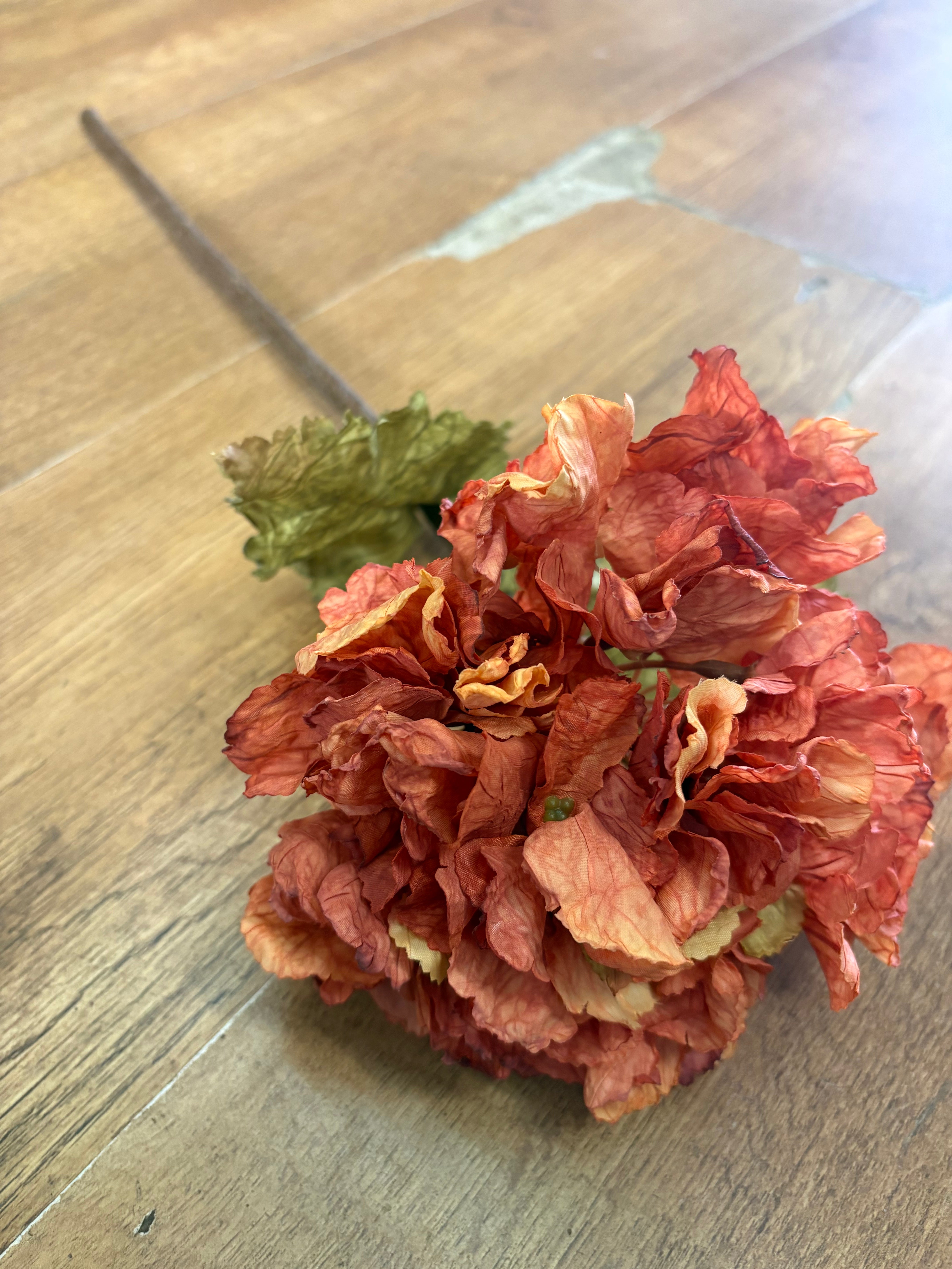 Burnt orange dried touch ruffled hydrangea