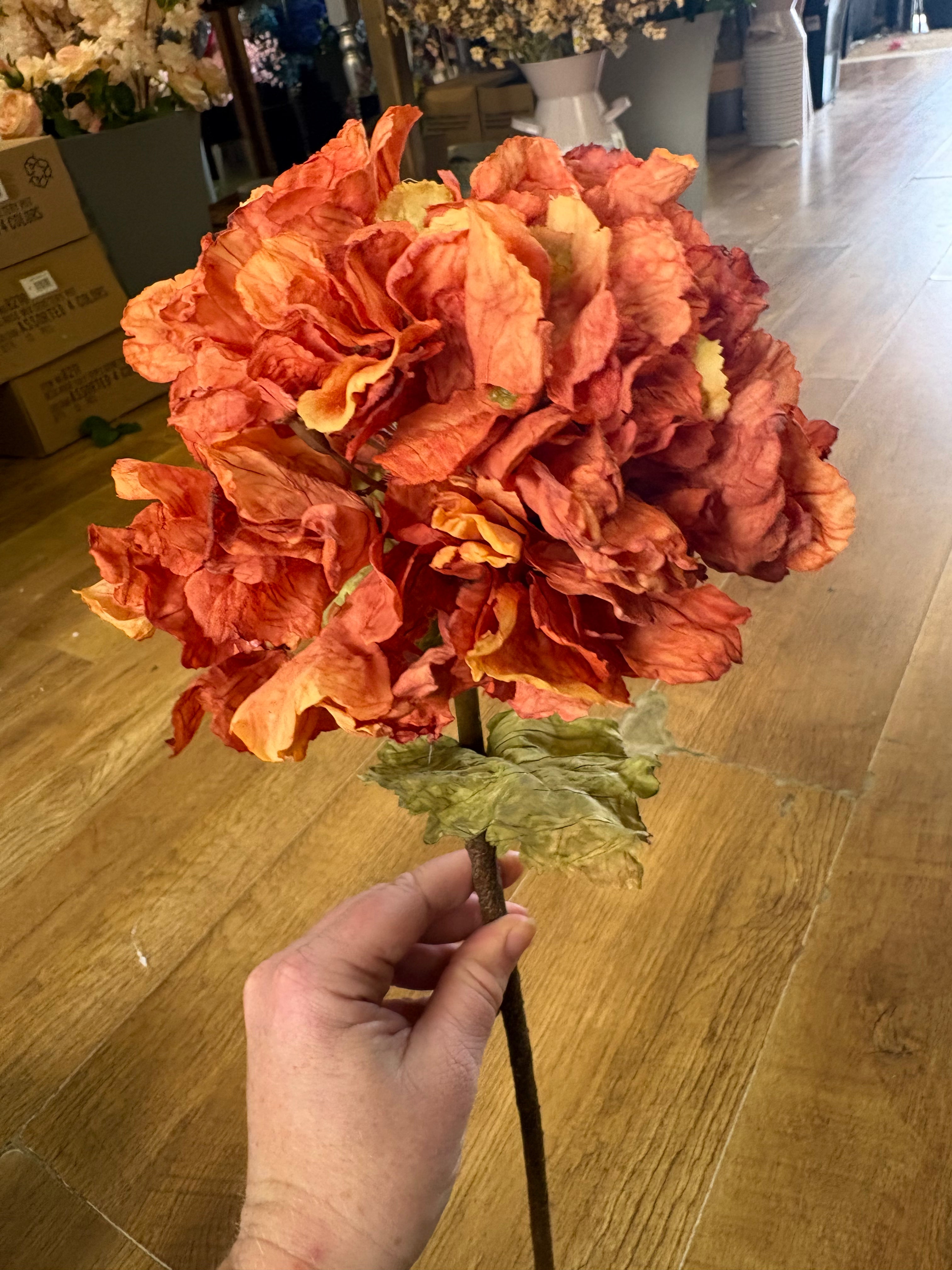 Burnt orange dried touch ruffled hydrangea