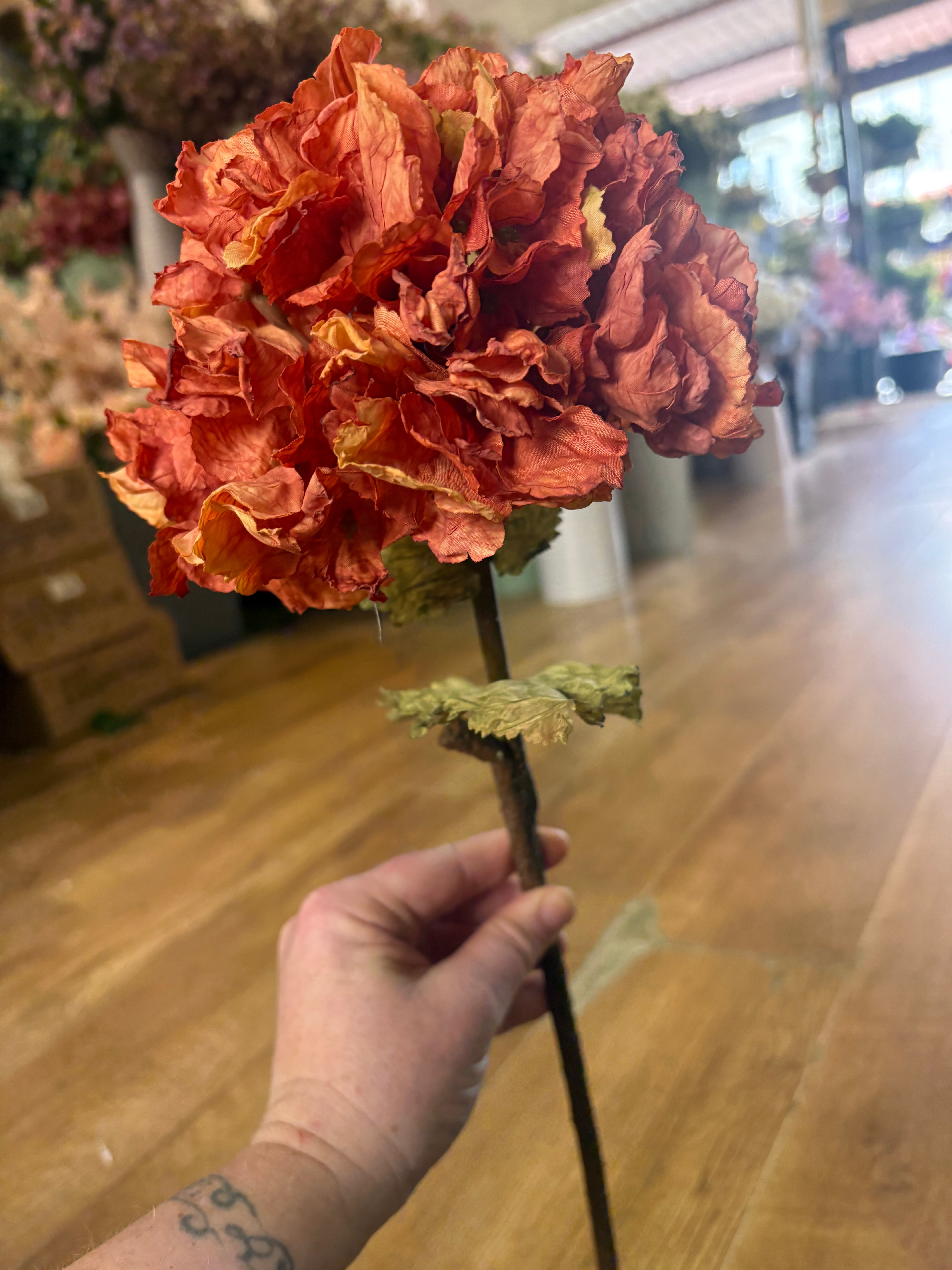 Burnt orange dried touch ruffled hydrangea