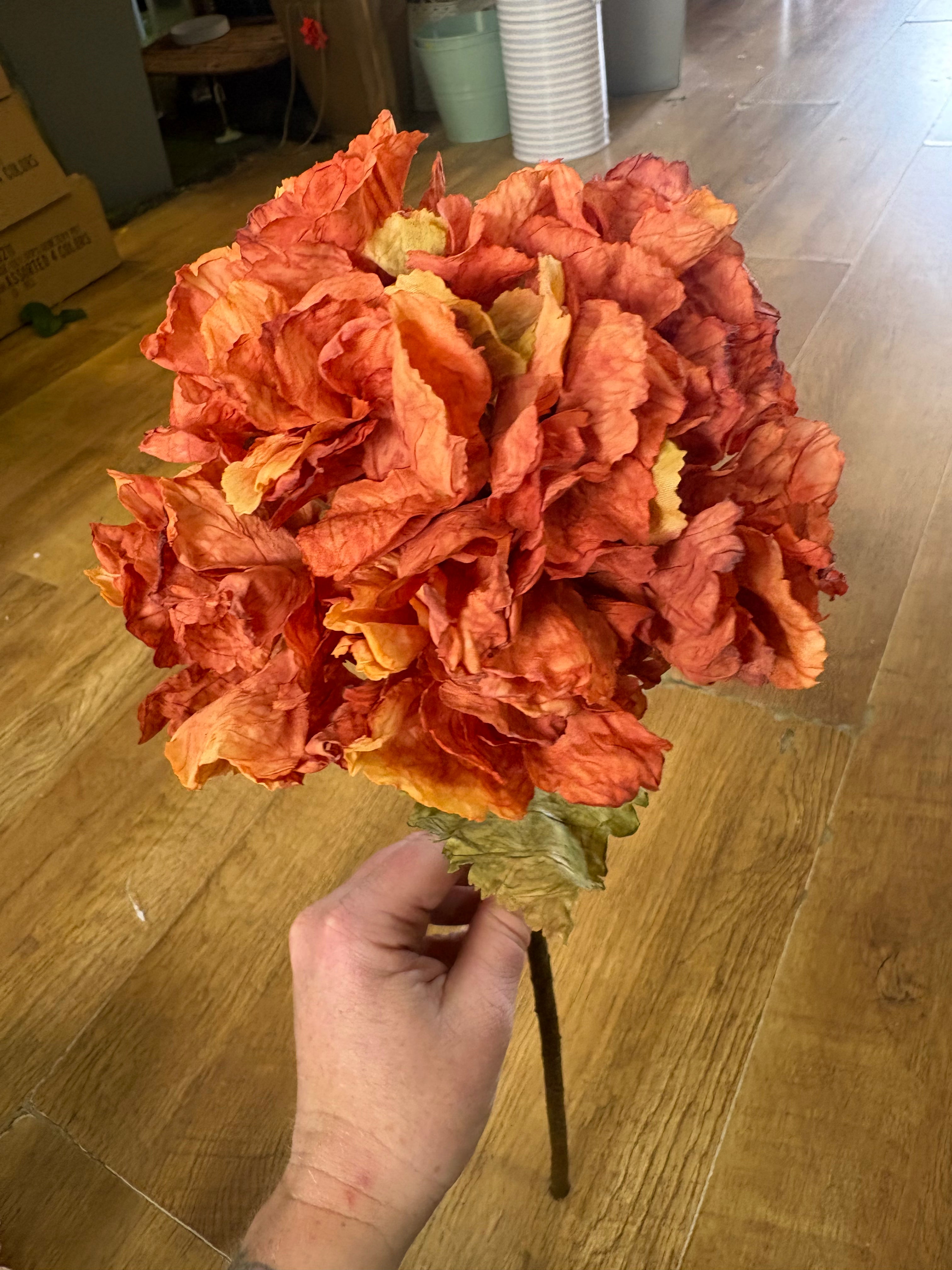 Burnt orange dried touch ruffled hydrangea