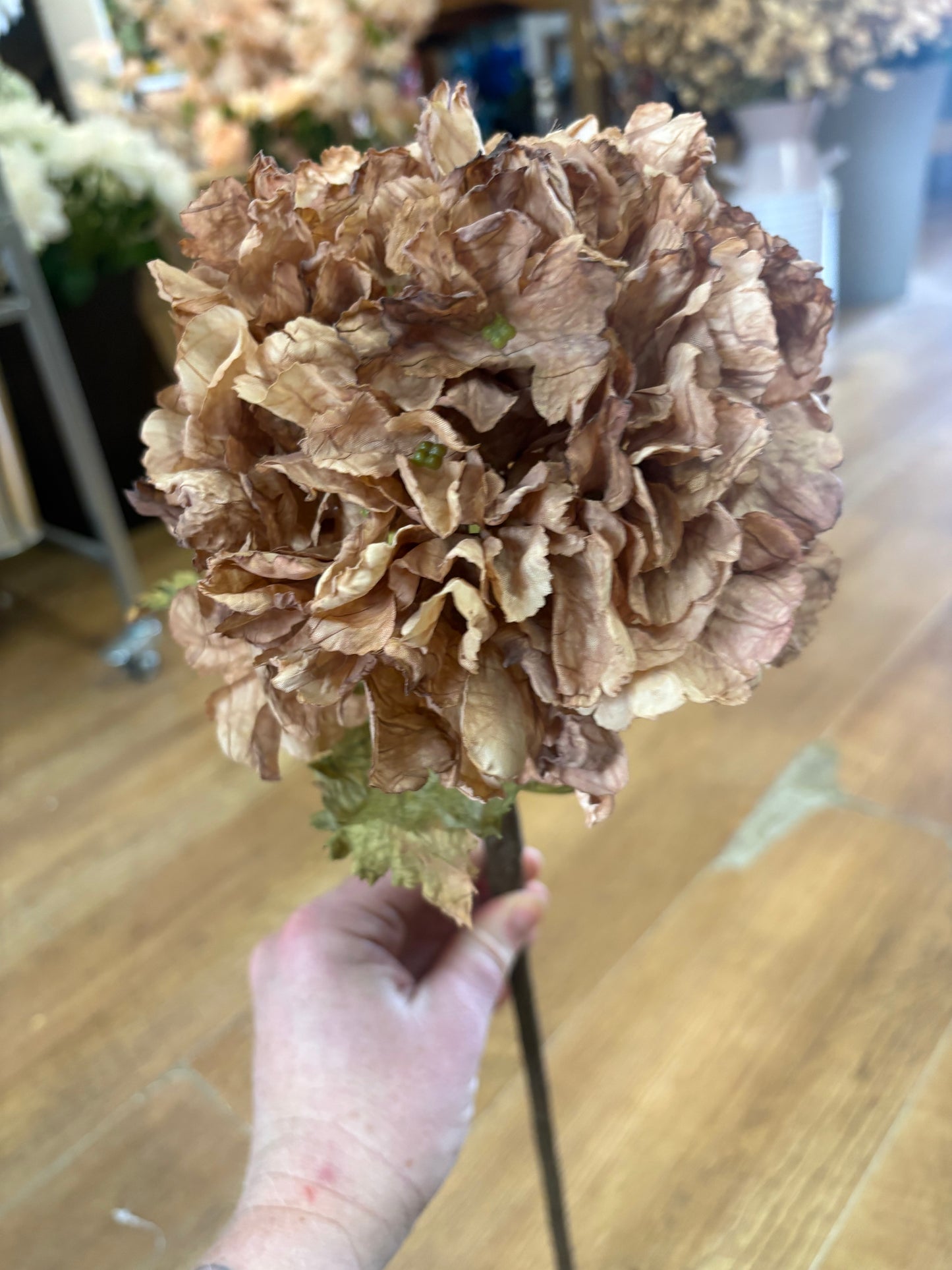 Cappuccino dried touch ruffled hydrangea