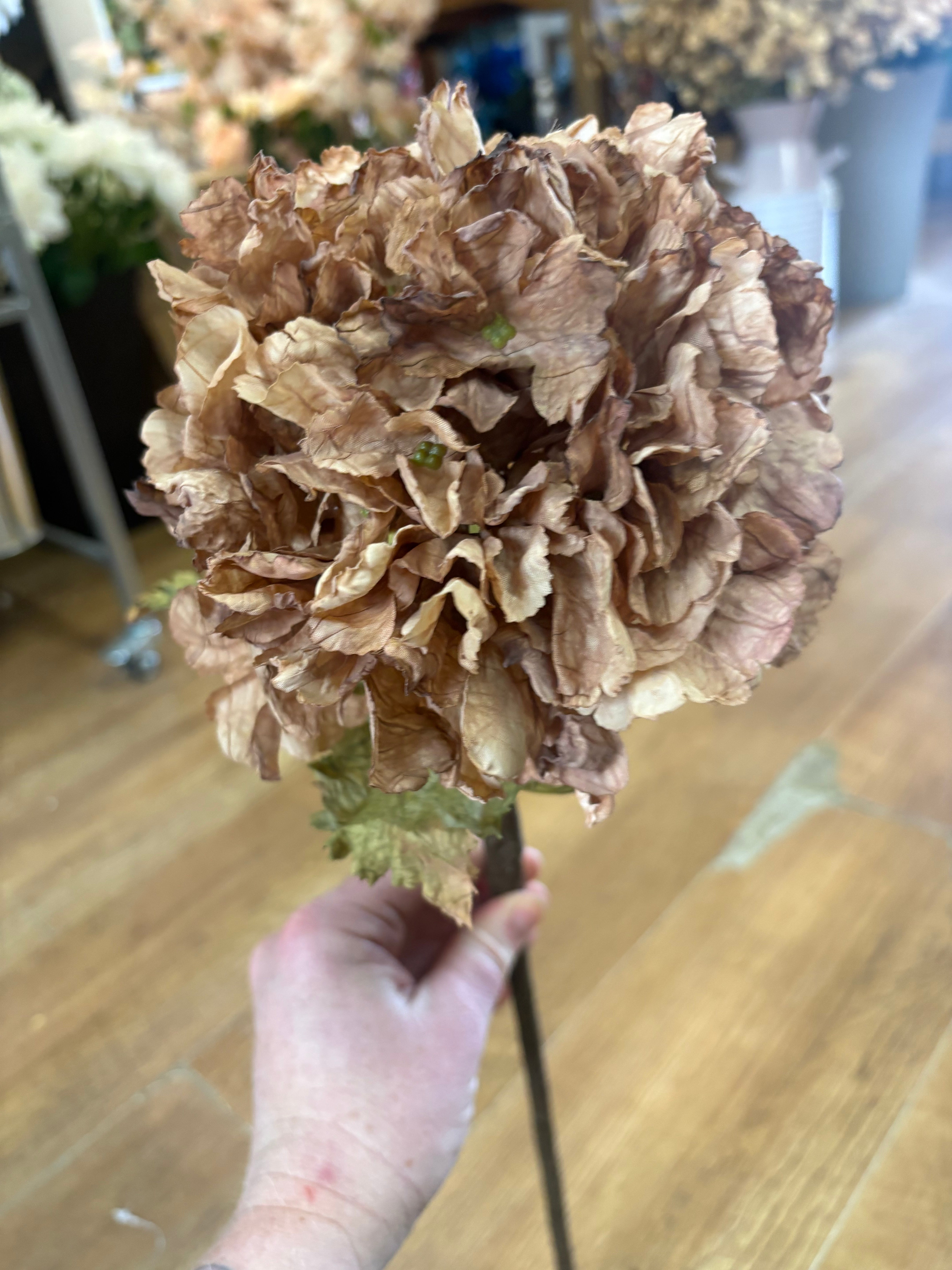 Cappuccino dried touch ruffled hydrangea