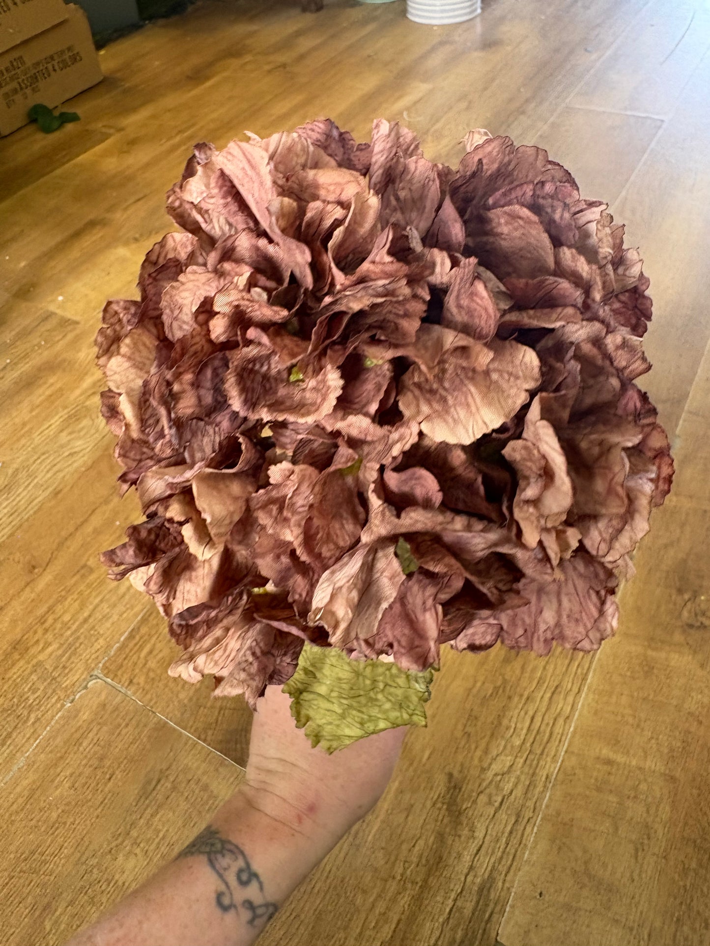 Mocha dried touch ruffled hydrangea