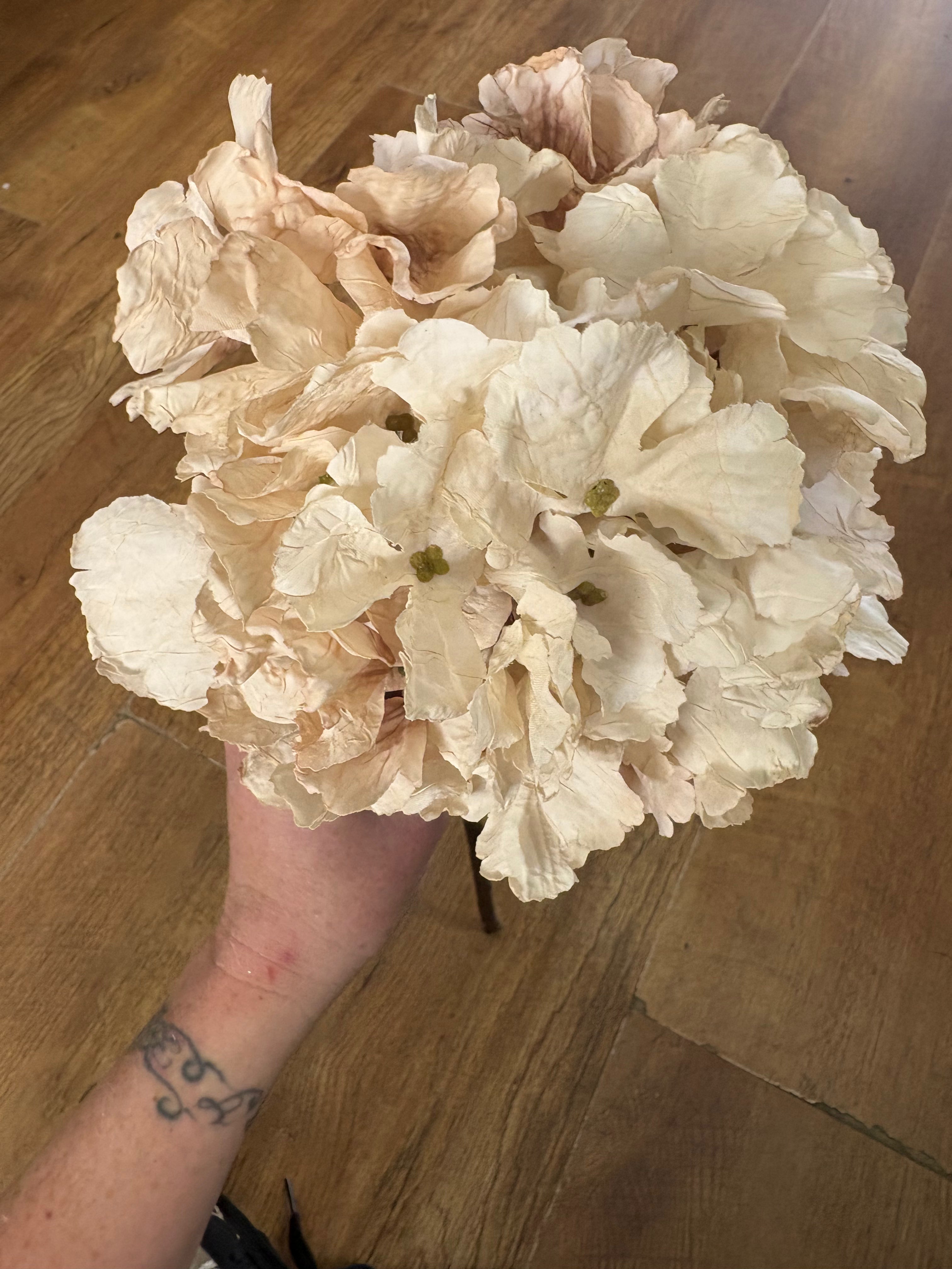 Oyster dried touch ruffled hydrangea