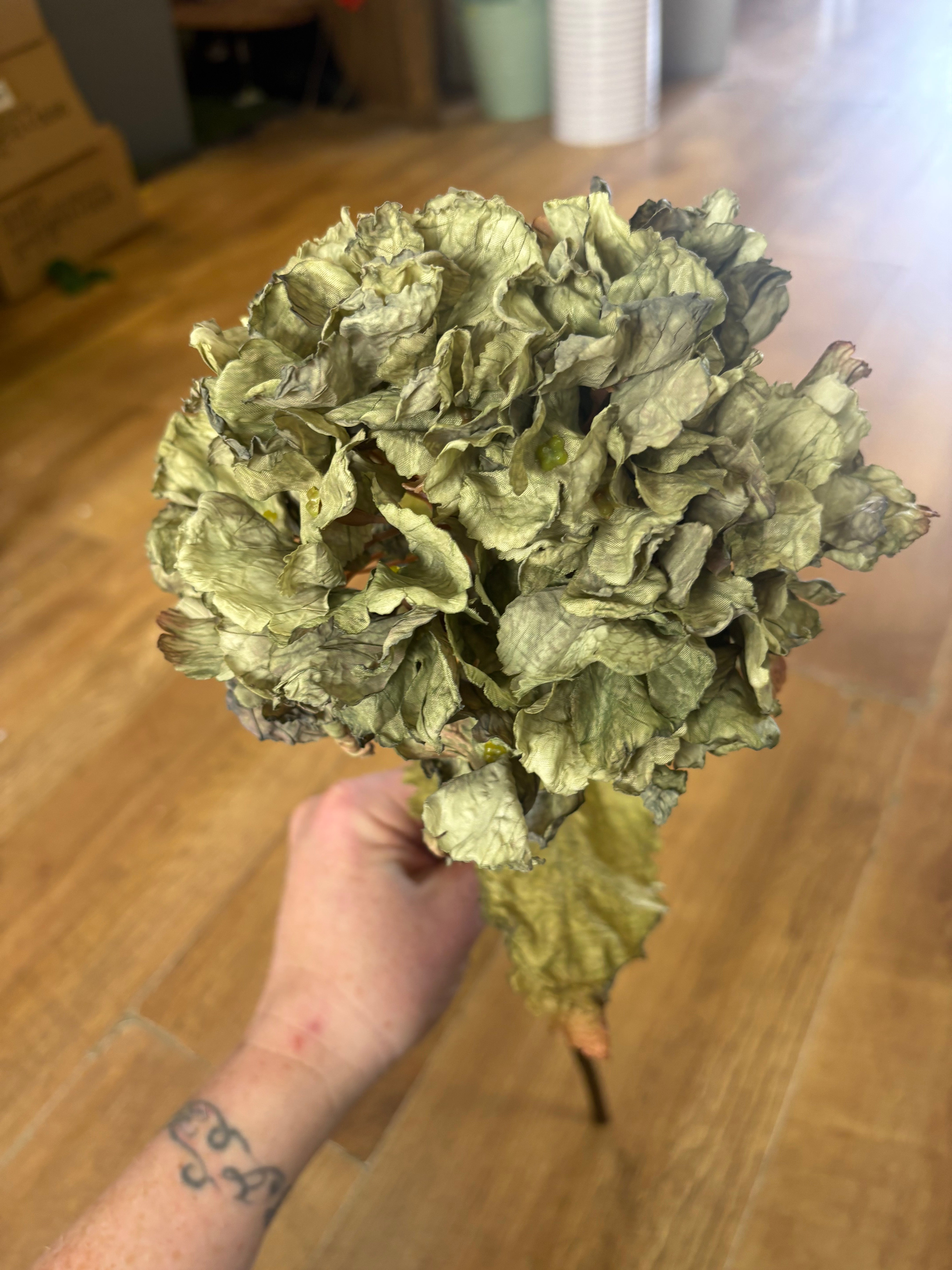 Green dried touch ruffled hydrangea