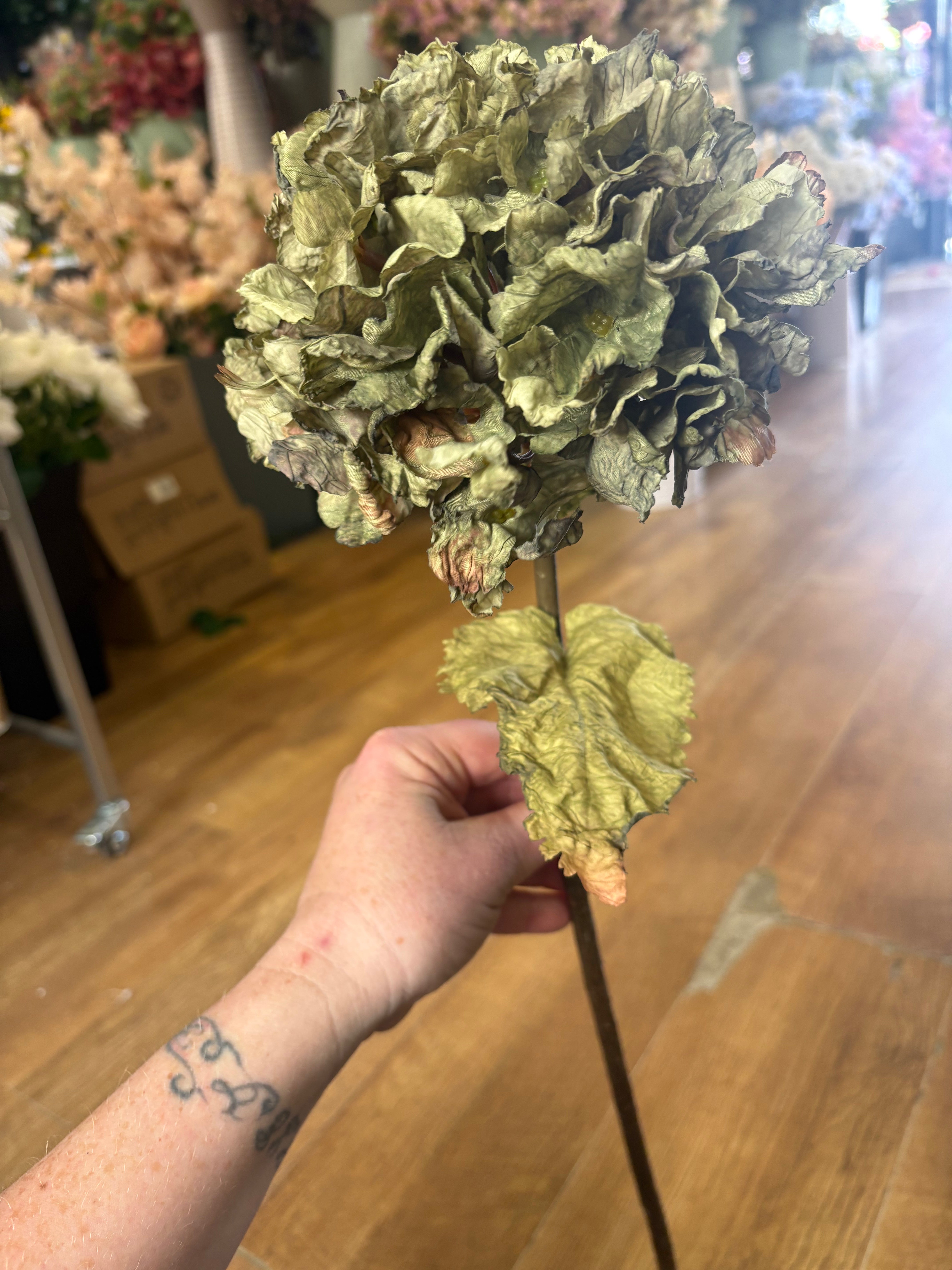 Green dried touch ruffled hydrangea
