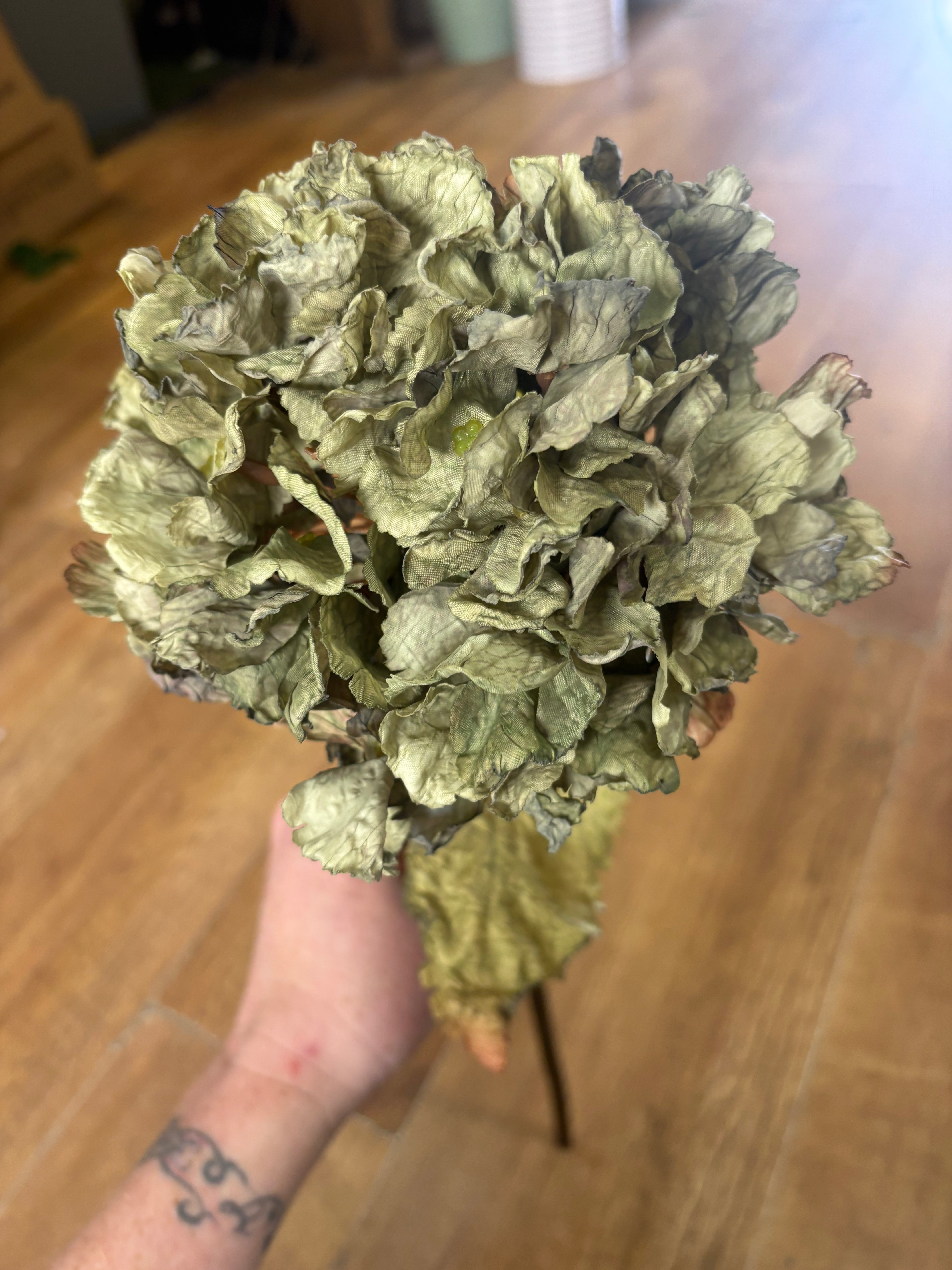 Green dried touch ruffled hydrangea