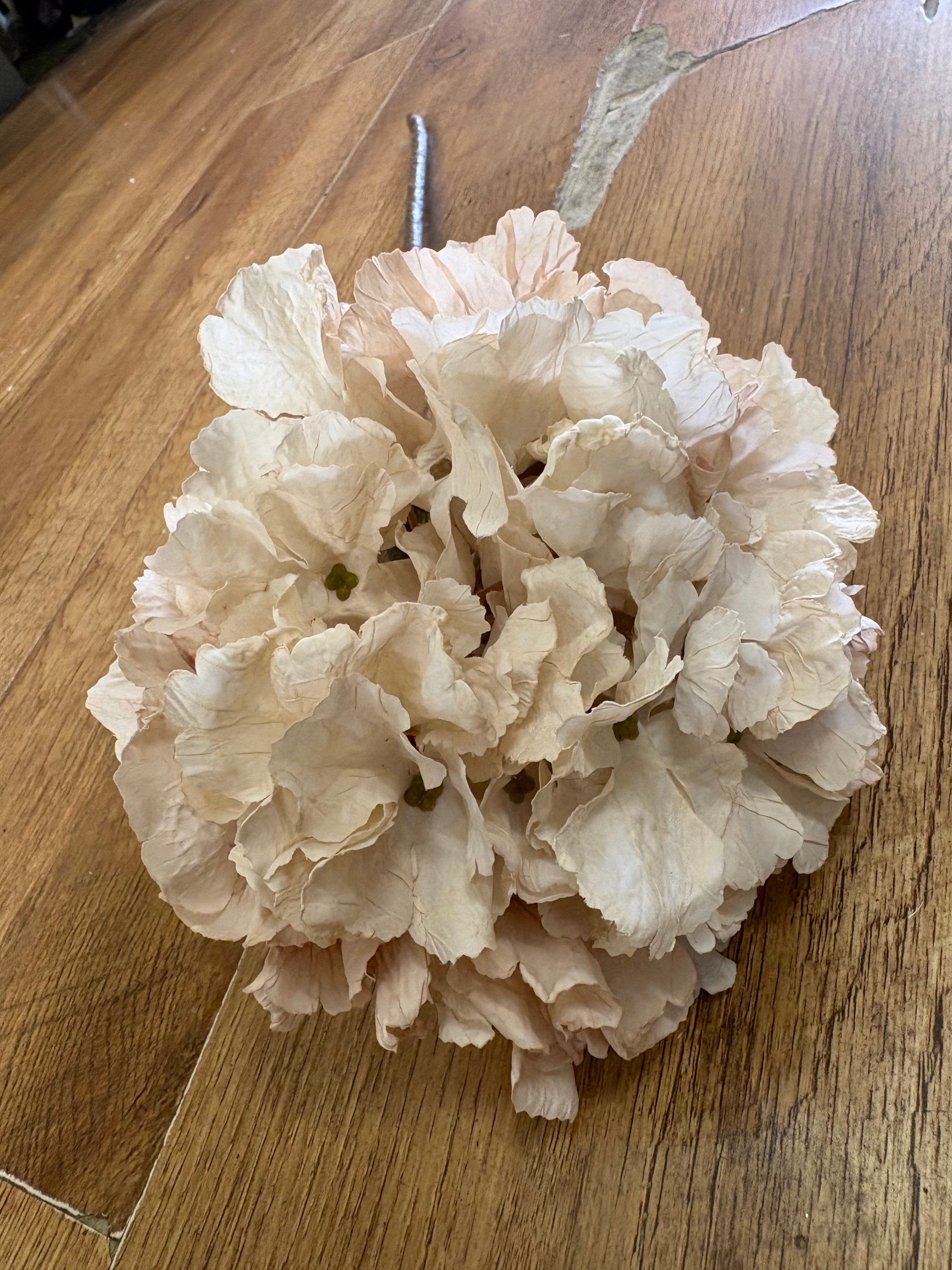 Oyster dried touch ruffled hydrangea