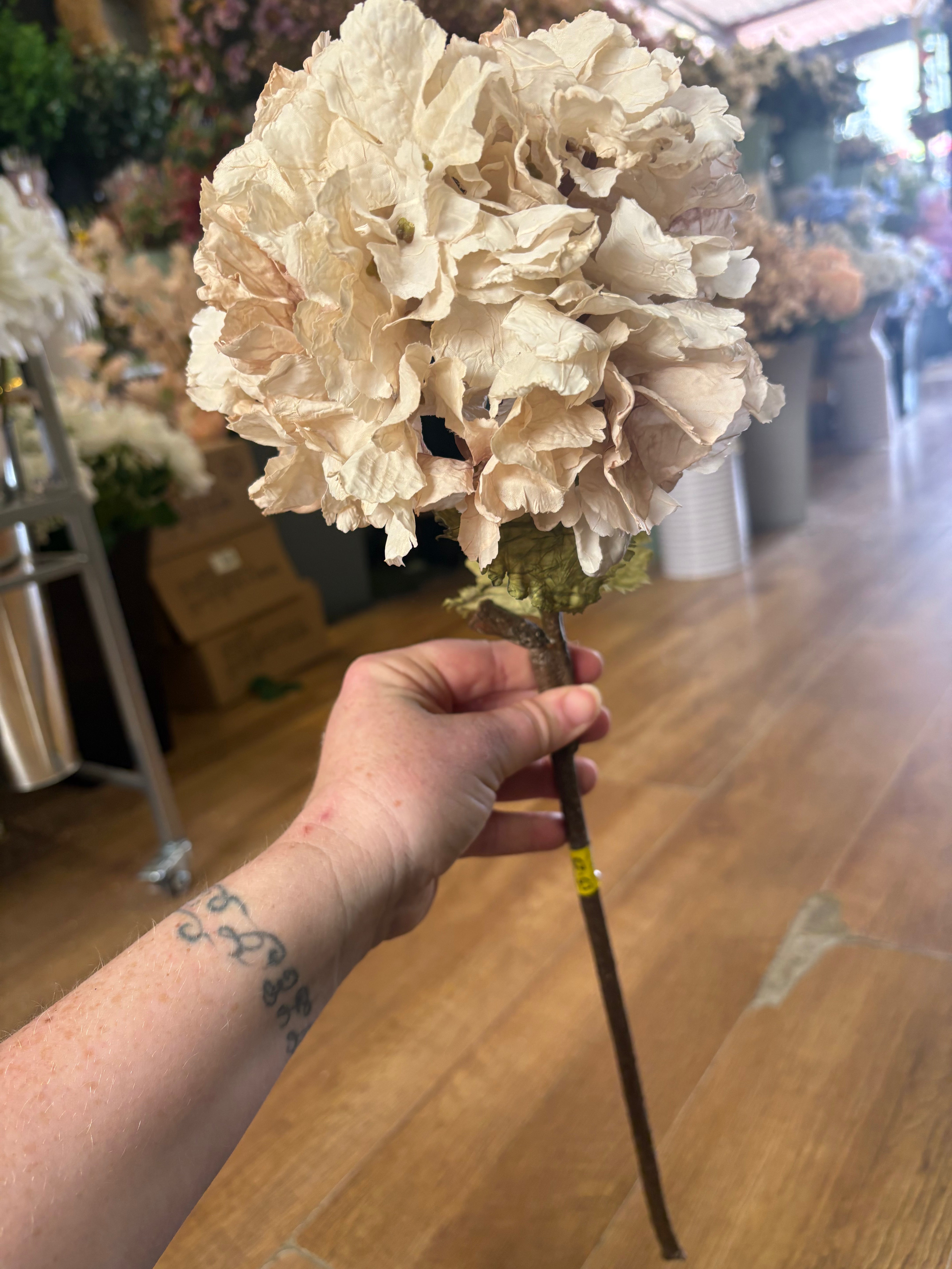 Oyster dried touch ruffled hydrangea