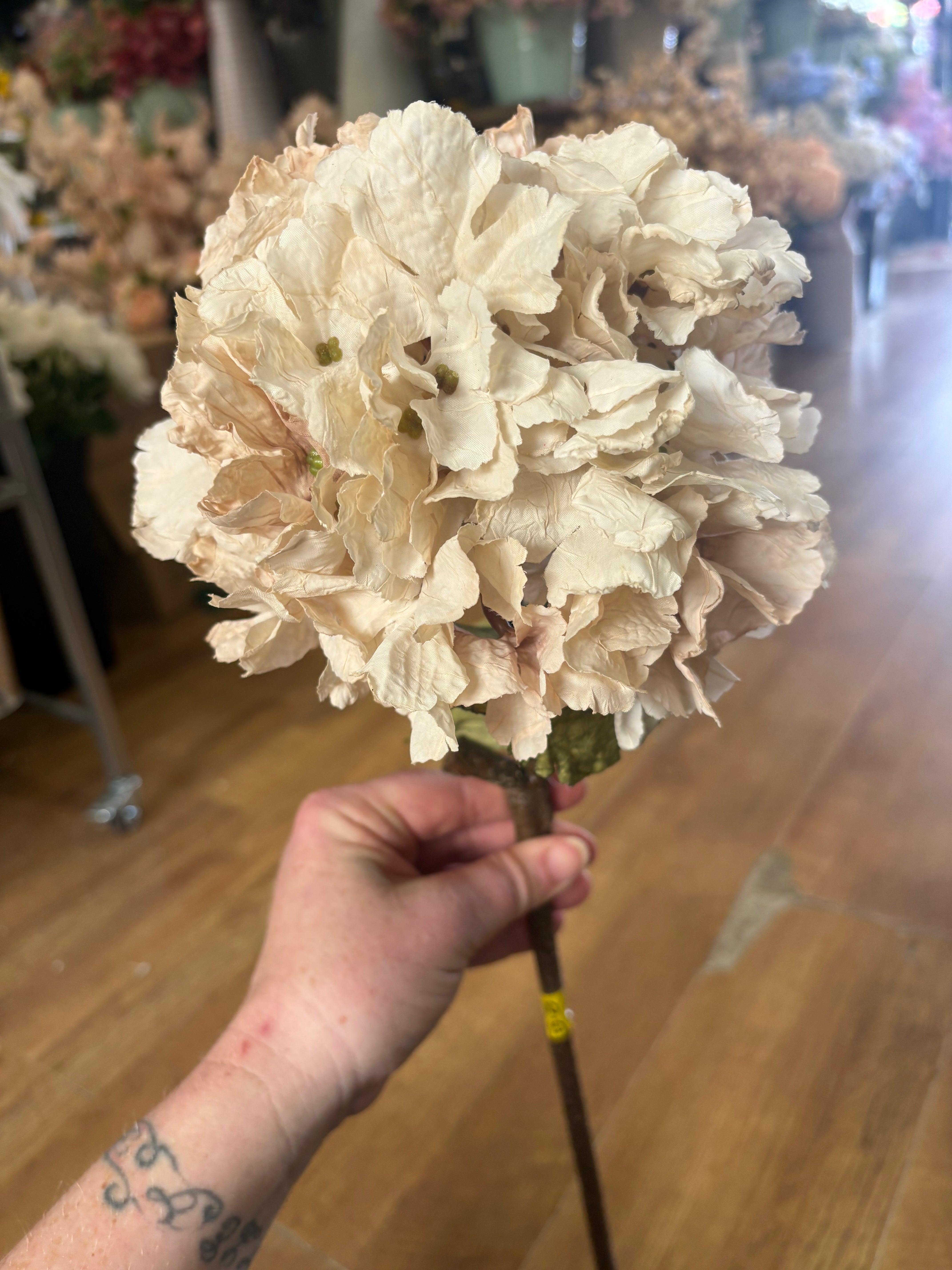 Oyster dried touch ruffled hydrangea