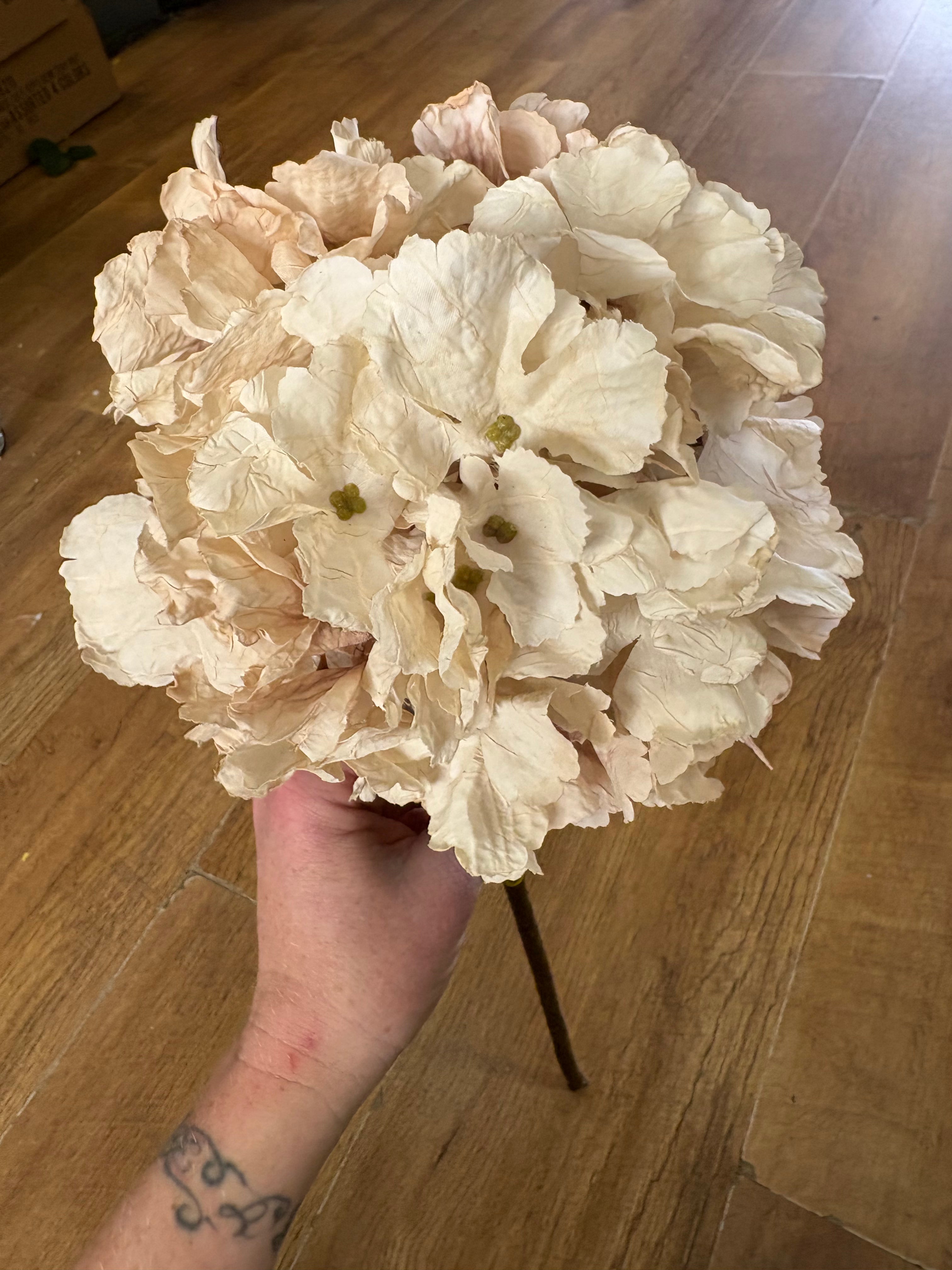 Oyster dried touch ruffled hydrangea