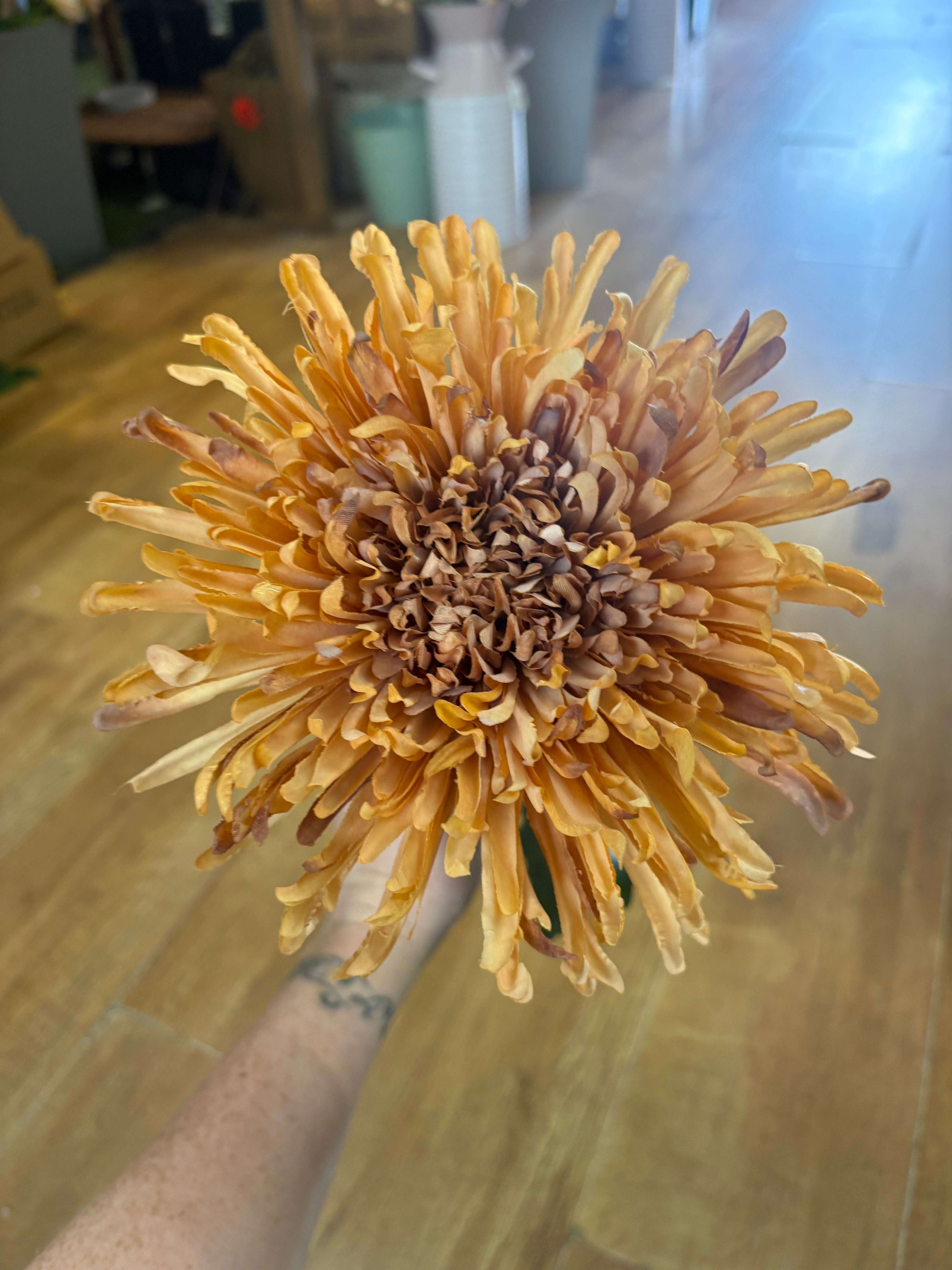 Long stem Honey Fuji mum