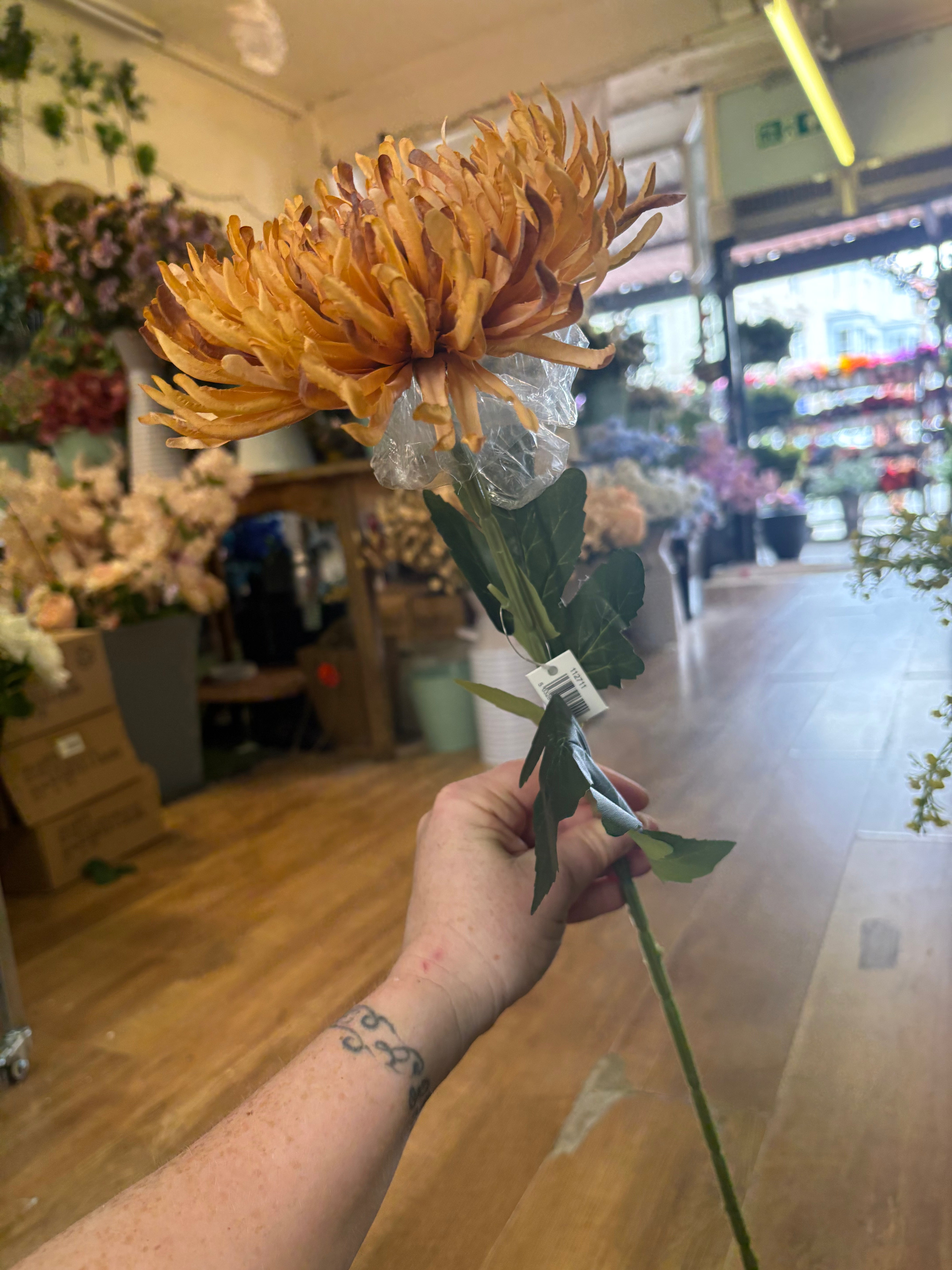 Long stem Honey Fuji mum