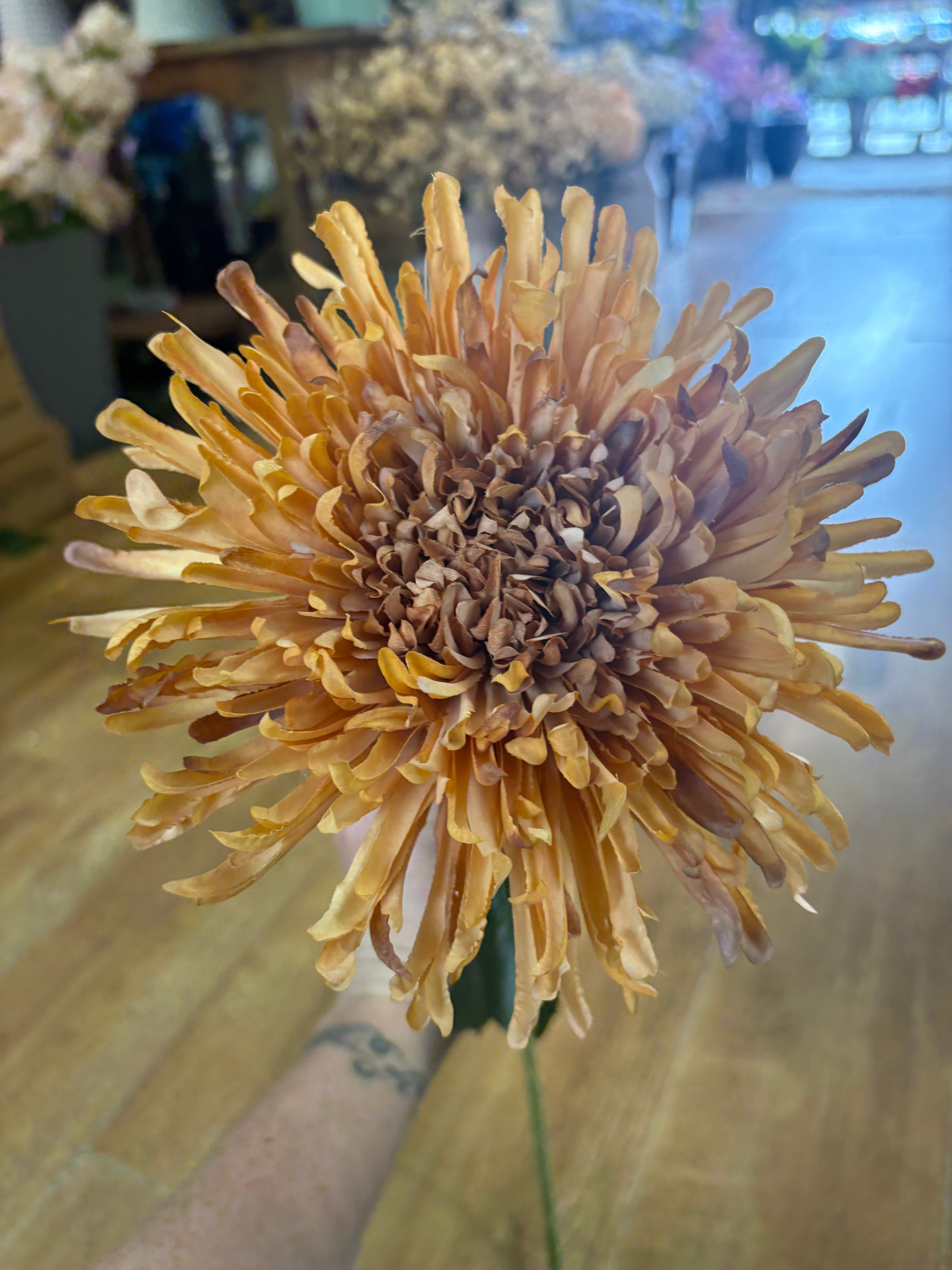Long stem Honey Fuji mum