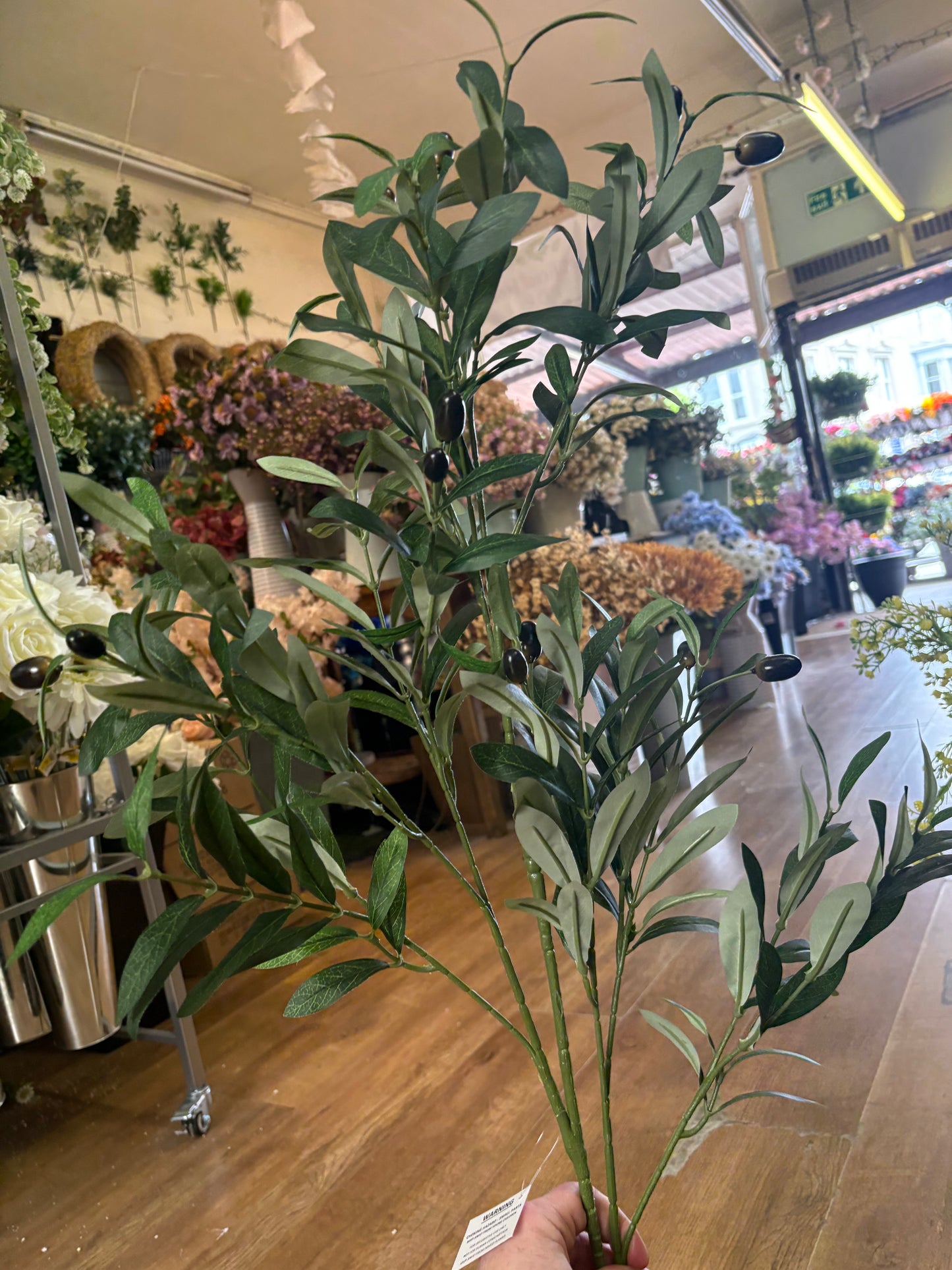 100cm tall Large Olive branch