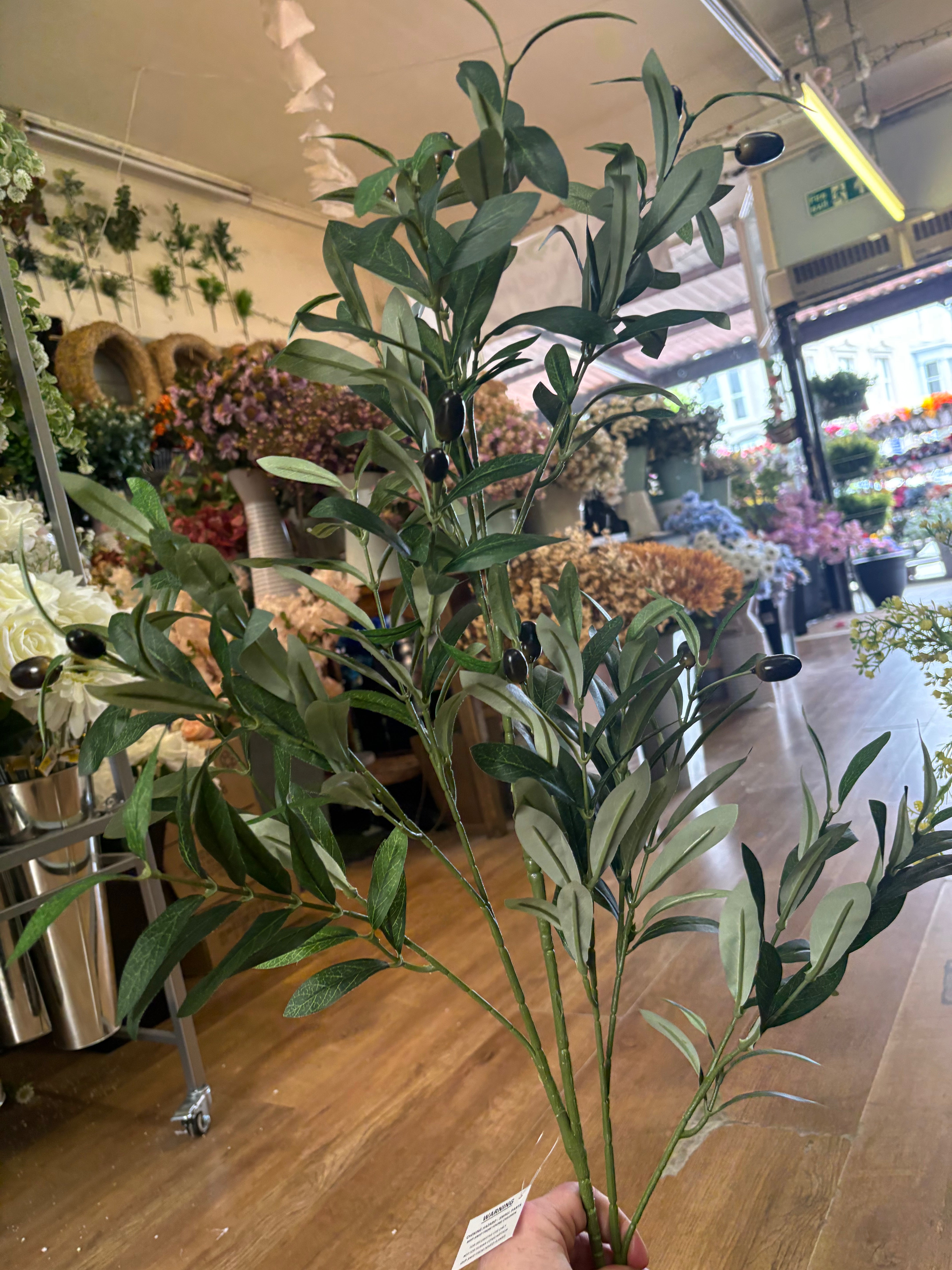 100cm tall Large Olive branch