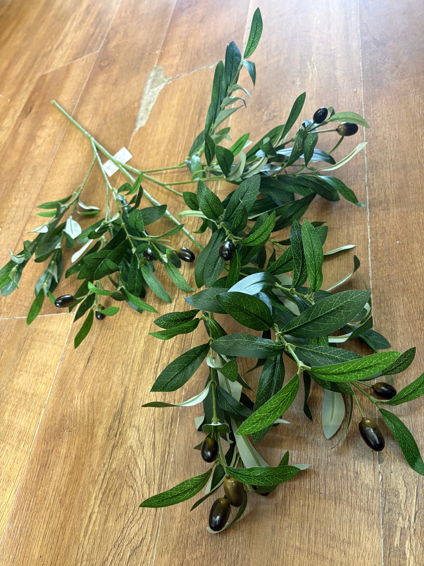 100cm tall Large Olive branch