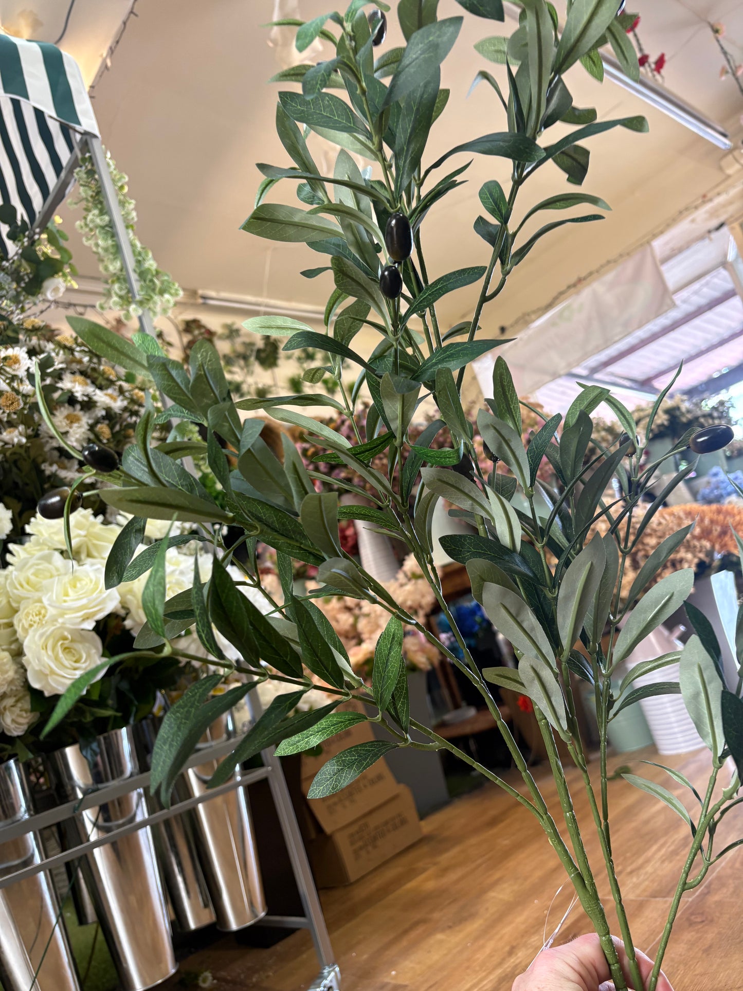 100cm tall Large Olive branch