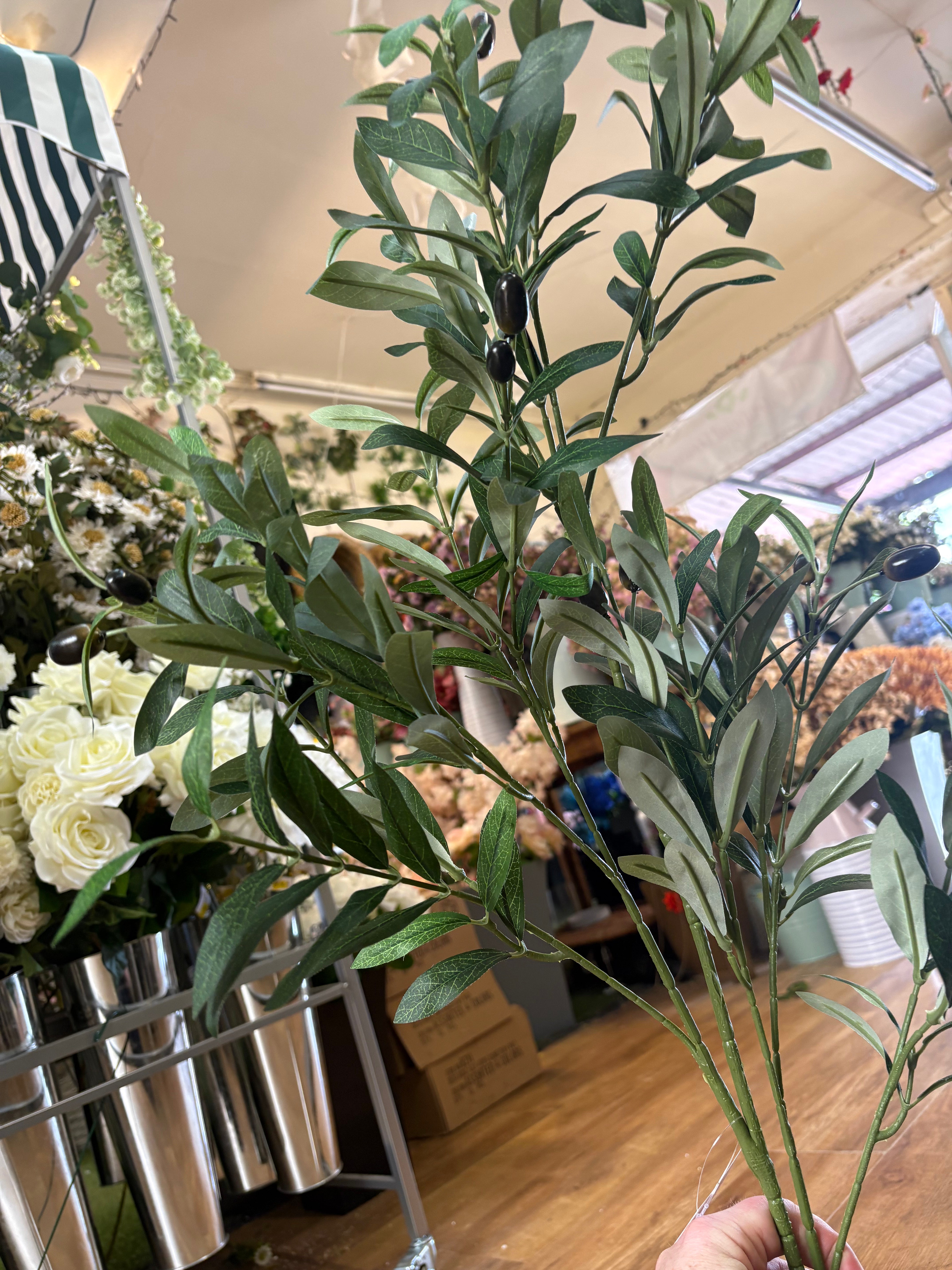 100cm tall Large Olive branch