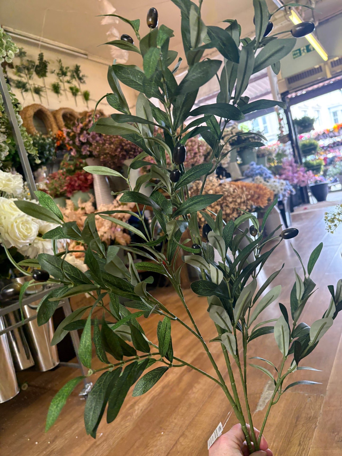 100cm tall Large Olive branch