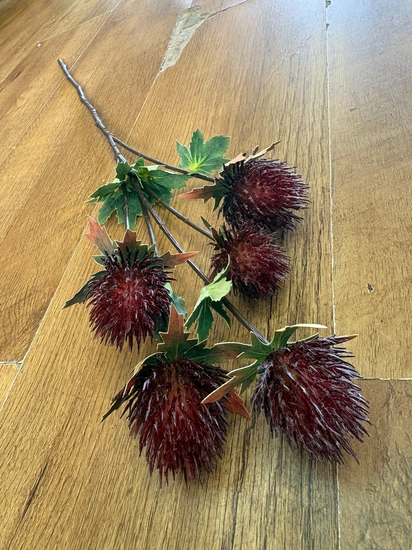 75cm tall 5 headed reddish brown premium thistle spray