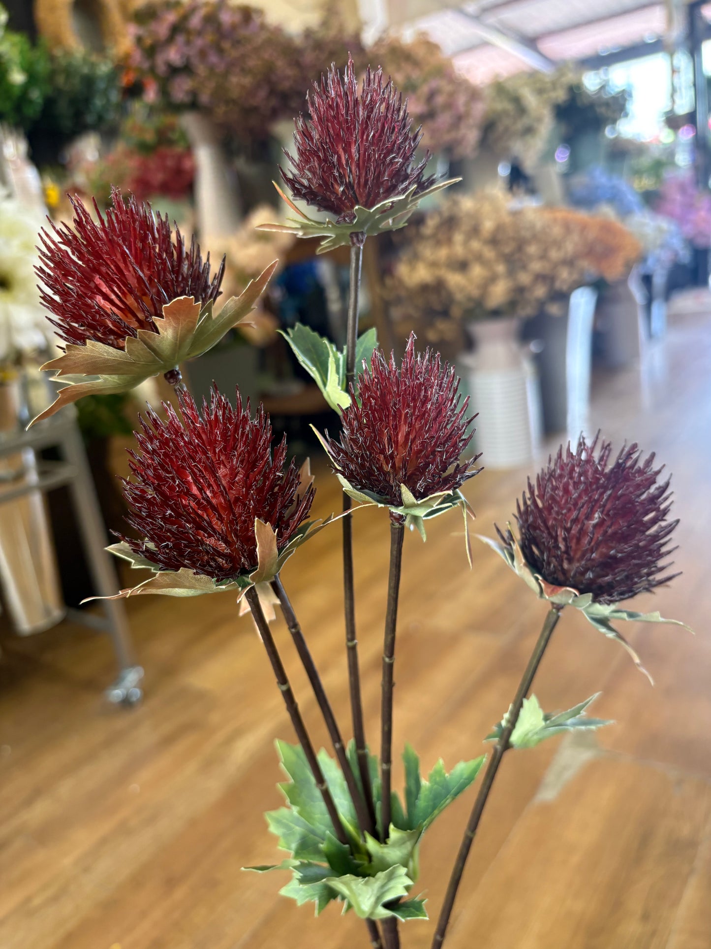 75cm tall 5 headed reddish brown premium thistle spray