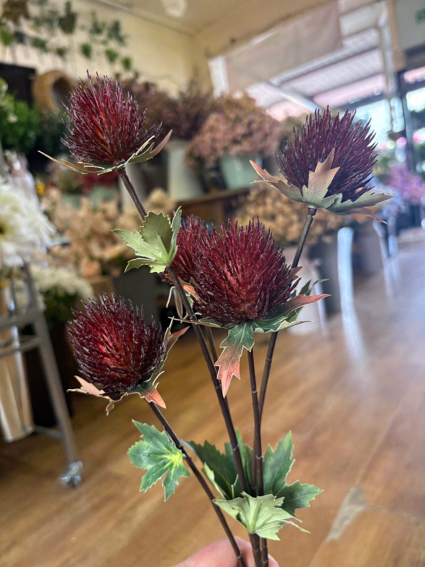 75cm tall 5 headed reddish brown premium thistle spray
