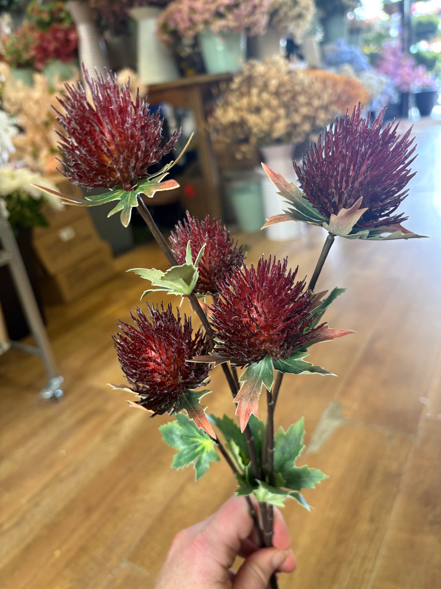 75cm tall 5 headed reddish brown premium thistle spray